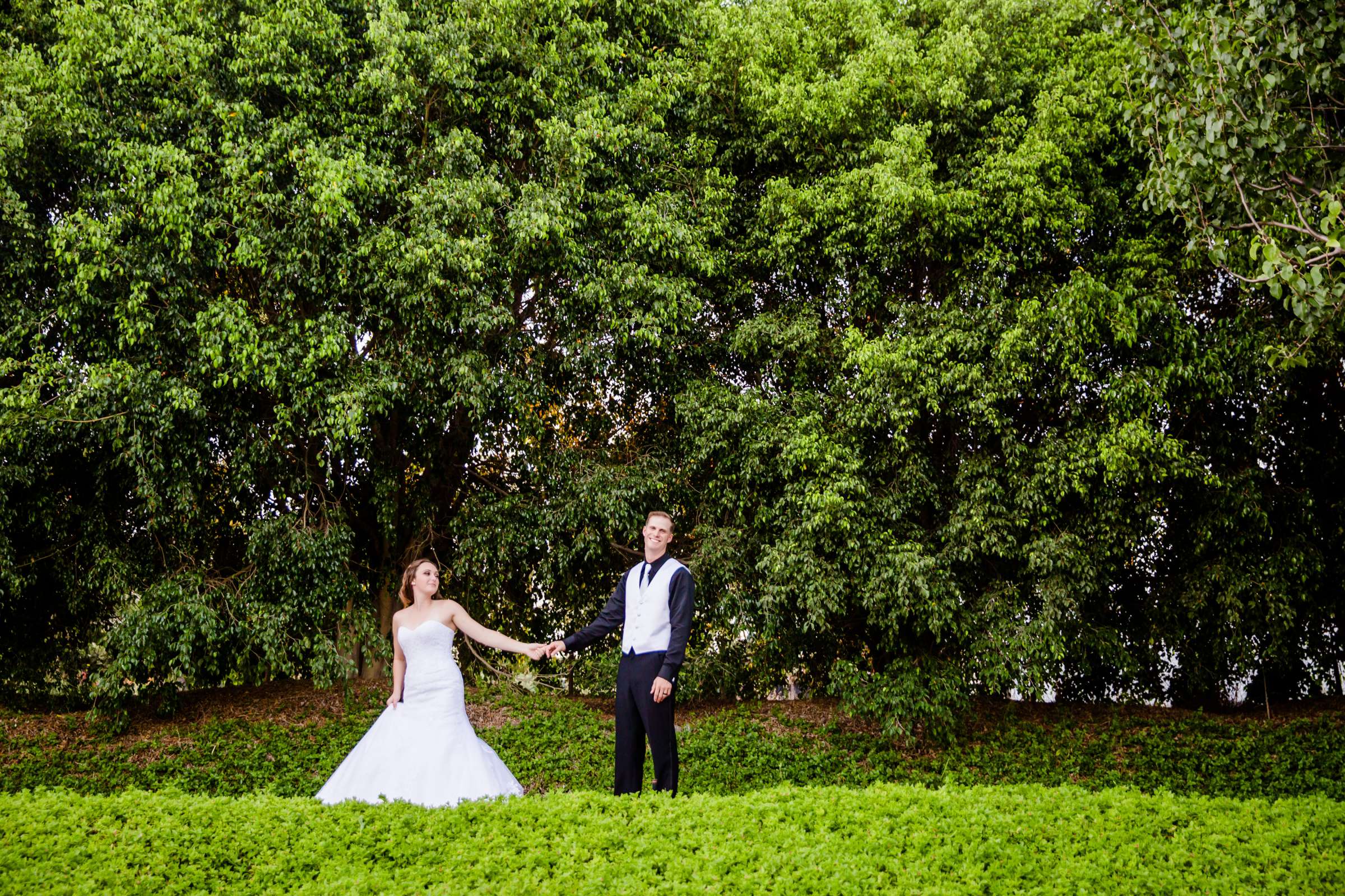 Grand Tradition Estate Wedding, Nicole and Matthew Wedding Photo #246012 by True Photography