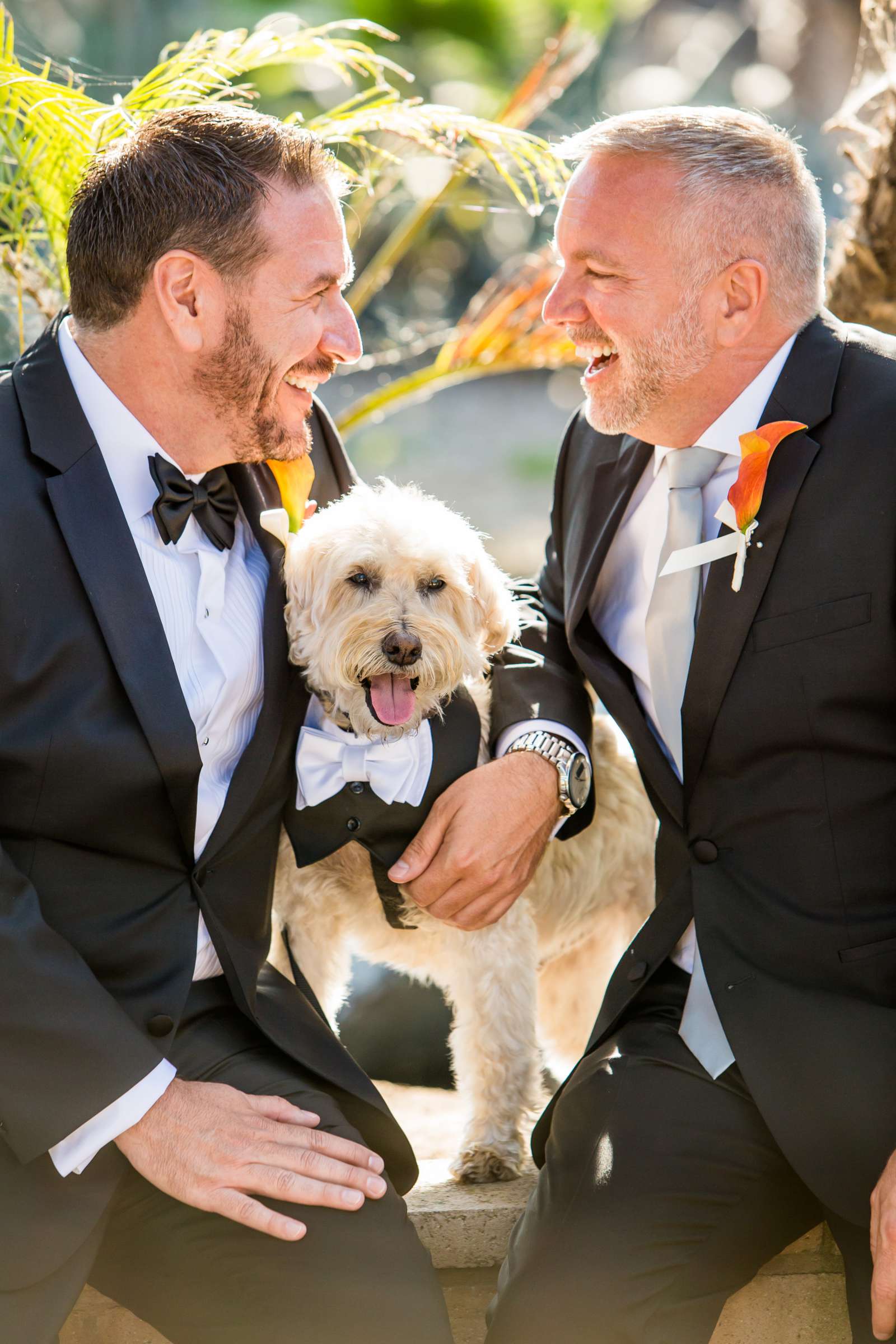 Paradise Point Wedding, David and Barry Wedding Photo #262943 by True Photography