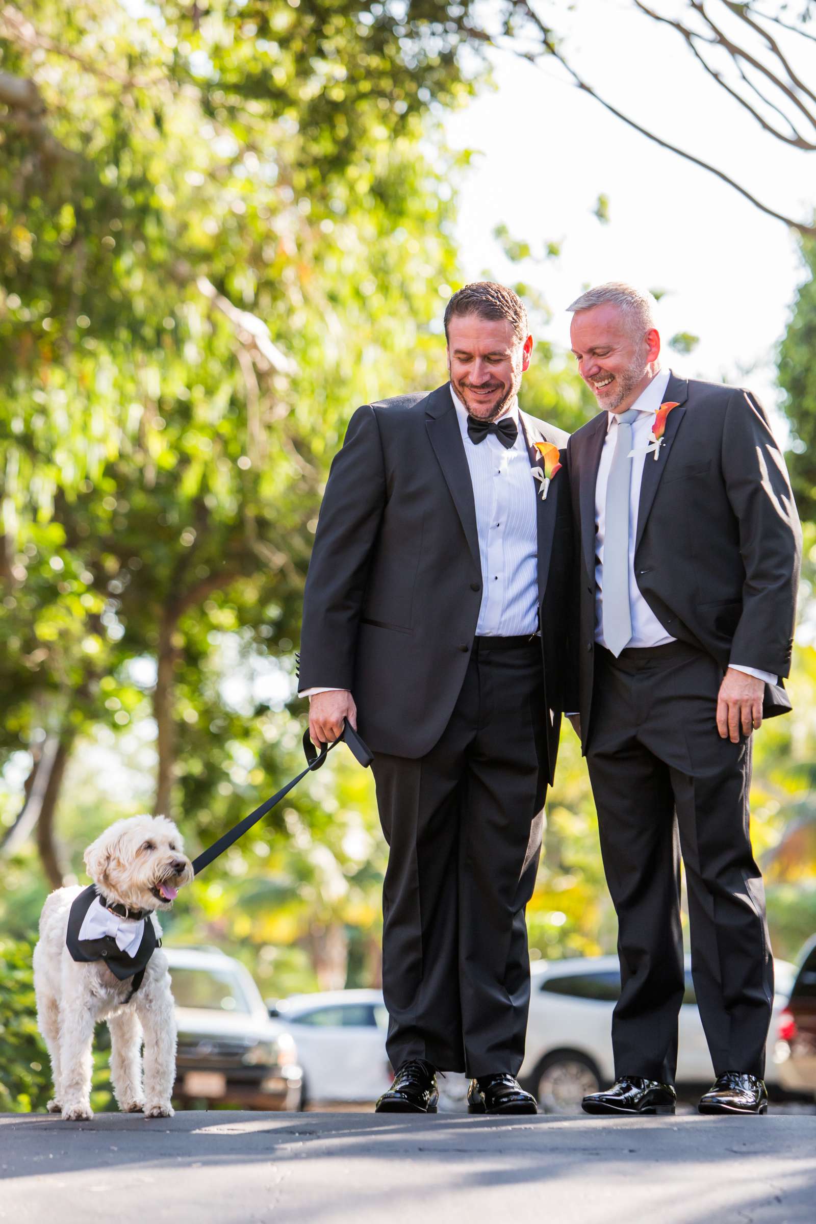 Paradise Point Wedding, David and Barry Wedding Photo #262962 by True Photography