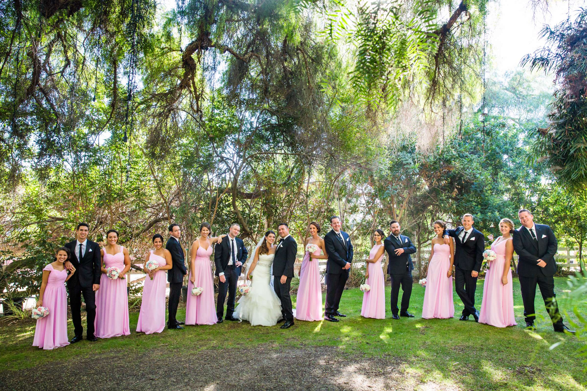 Green Gables Wedding Estate Wedding, Juliette and Brendan Wedding Photo #77 by True Photography