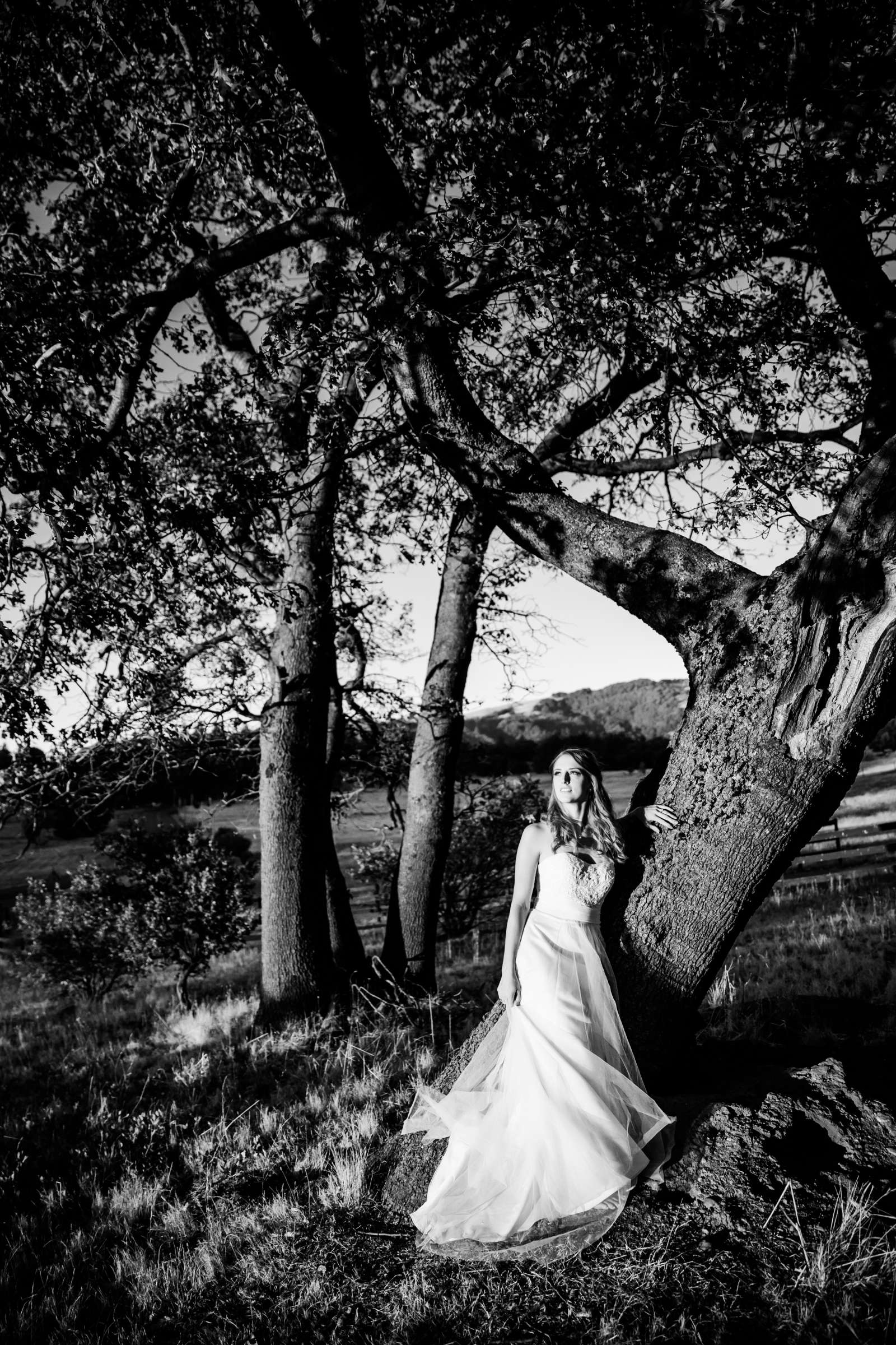 Sacred Mountain Retreat Wedding, Katelyn and Osvaldo Wedding Photo #266168 by True Photography