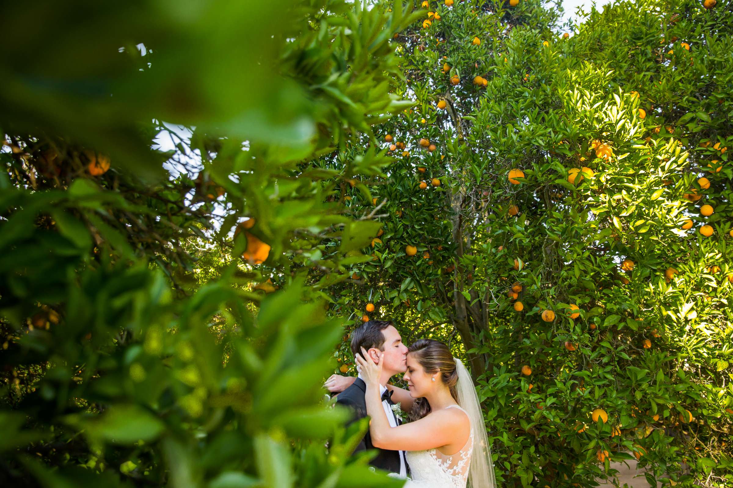 Private Residence Wedding coordinated by Nomad Nuptials, Katy and Joel Wedding Photo #2 by True Photography