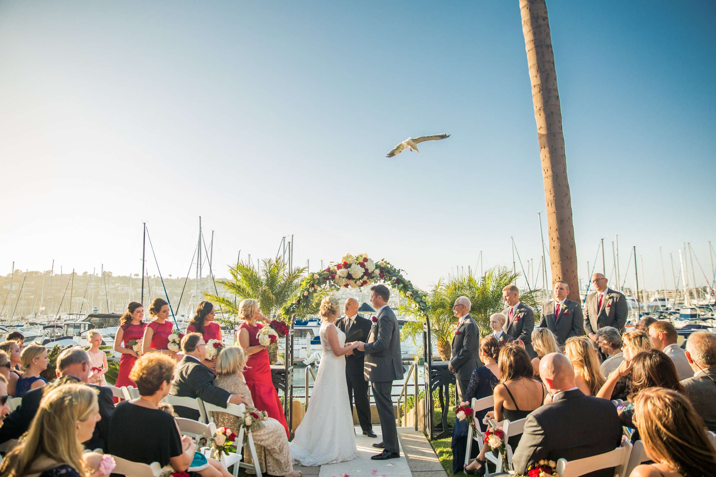 Island Palms Hotel Wedding coordinated by Holly Kalkin Weddings, Amanda and David Wedding Photo #270254 by True Photography