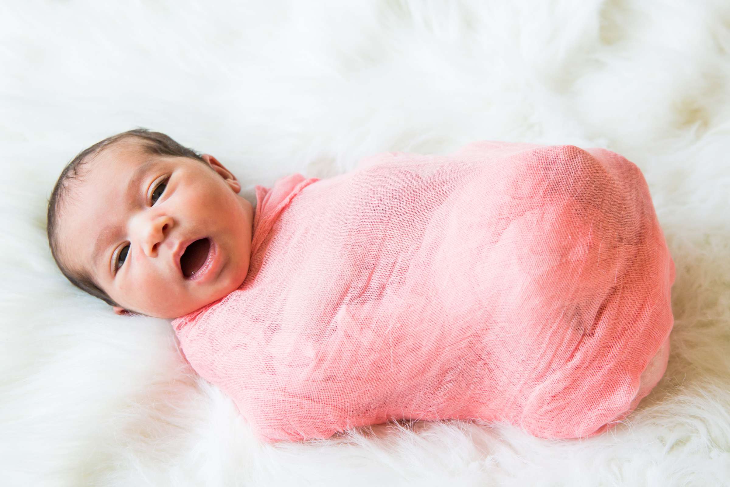 Featured photo at Newborn Photo Session, Tarzia Newborn Photo #11 by True Photography