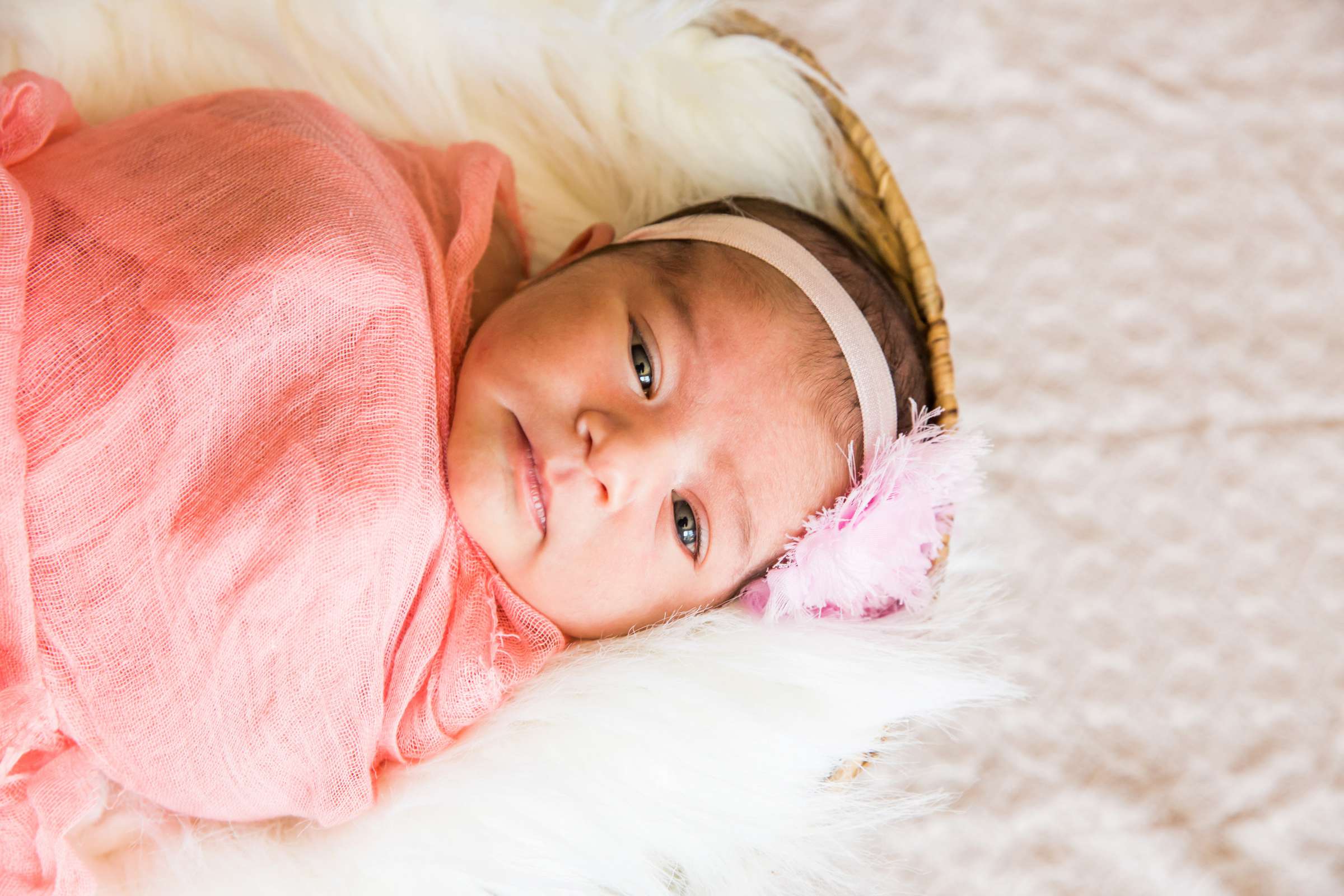 Newborn Photo Session, Tarzia Newborn Photo #14 by True Photography