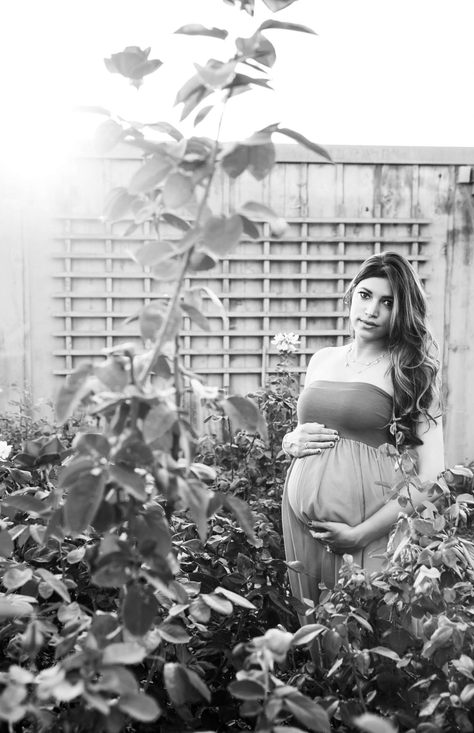 Maternity Photo Session, Sonia and Cameron Maternity Photo #20 by True Photography