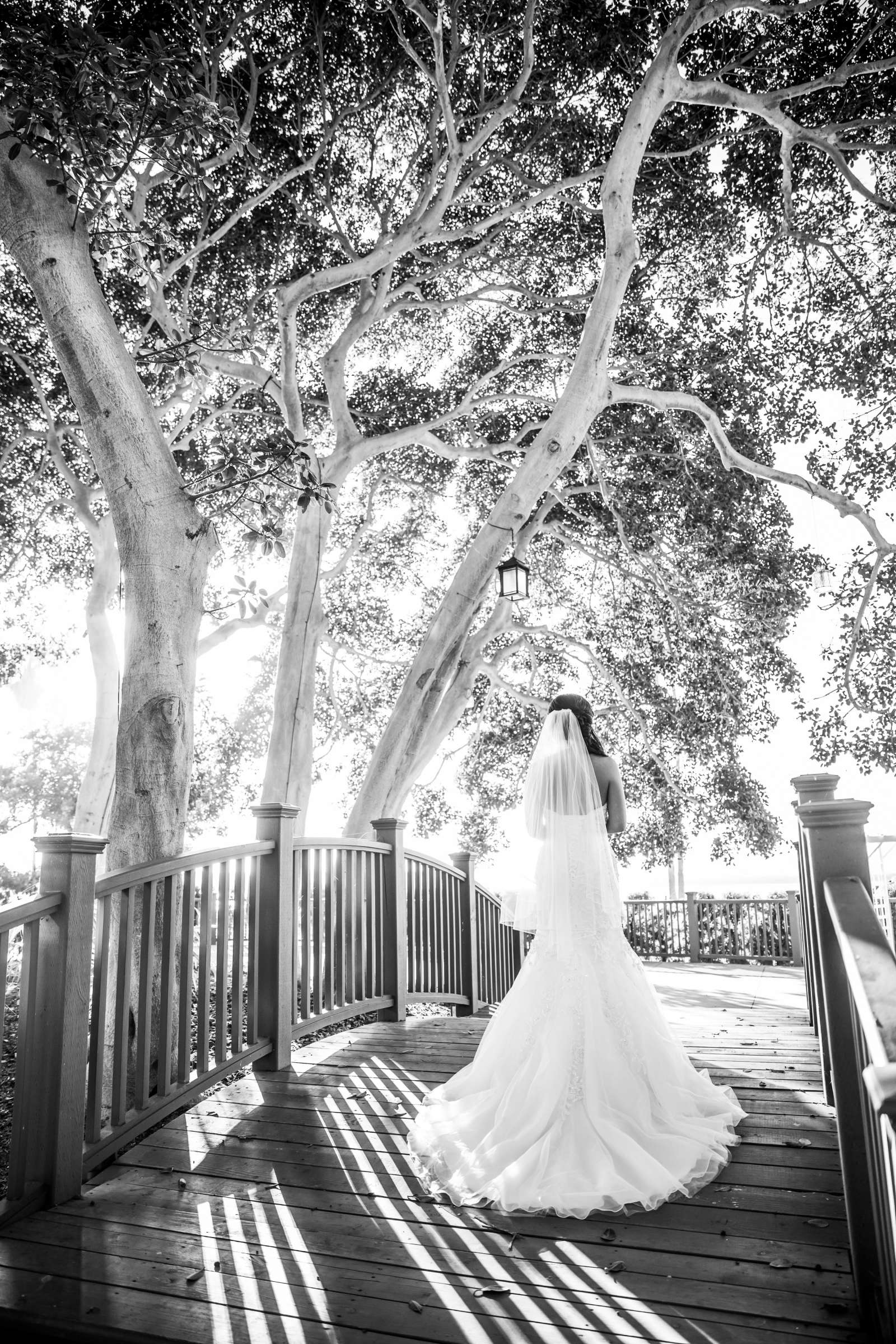 Marina Village Conference Center Wedding, Ellie and Danny Wedding Photo #53 by True Photography