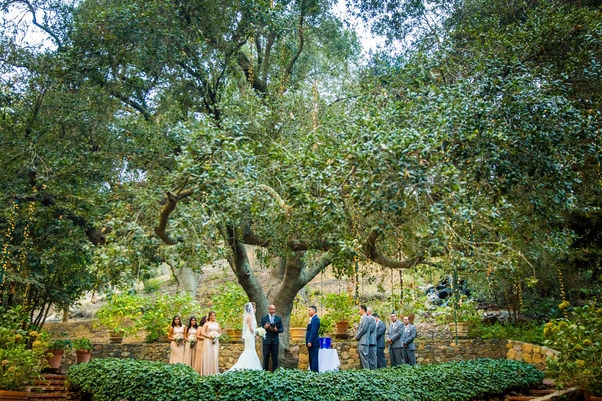 Calamigos Ranch Wedding coordinated by DB Creativity, Maria and Gonsalo Wedding Photo #54 by True Photography