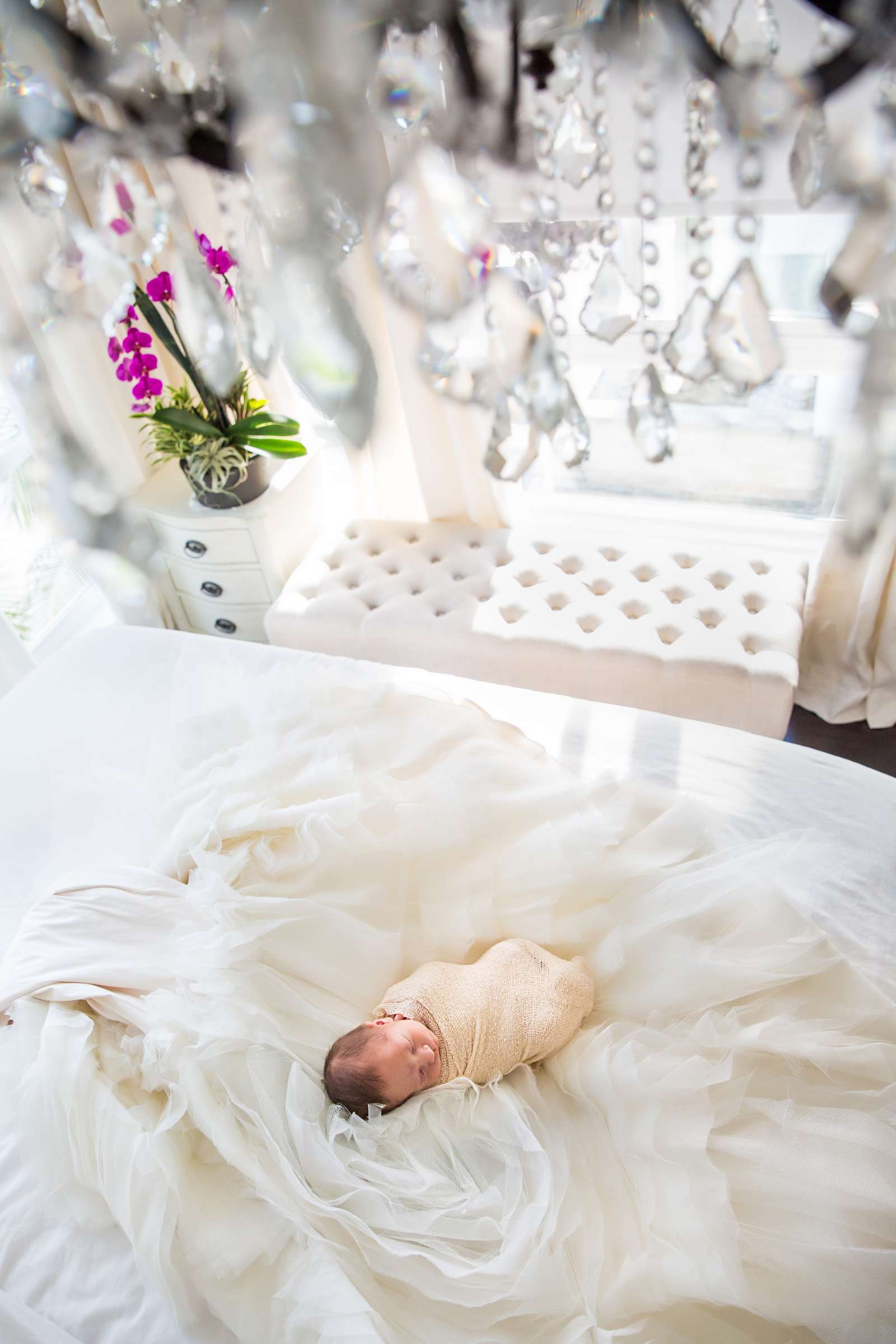 Featured photo at Newborn Photo Session, Michelle and Ahmad Newborn Photo #274753 by True Photography