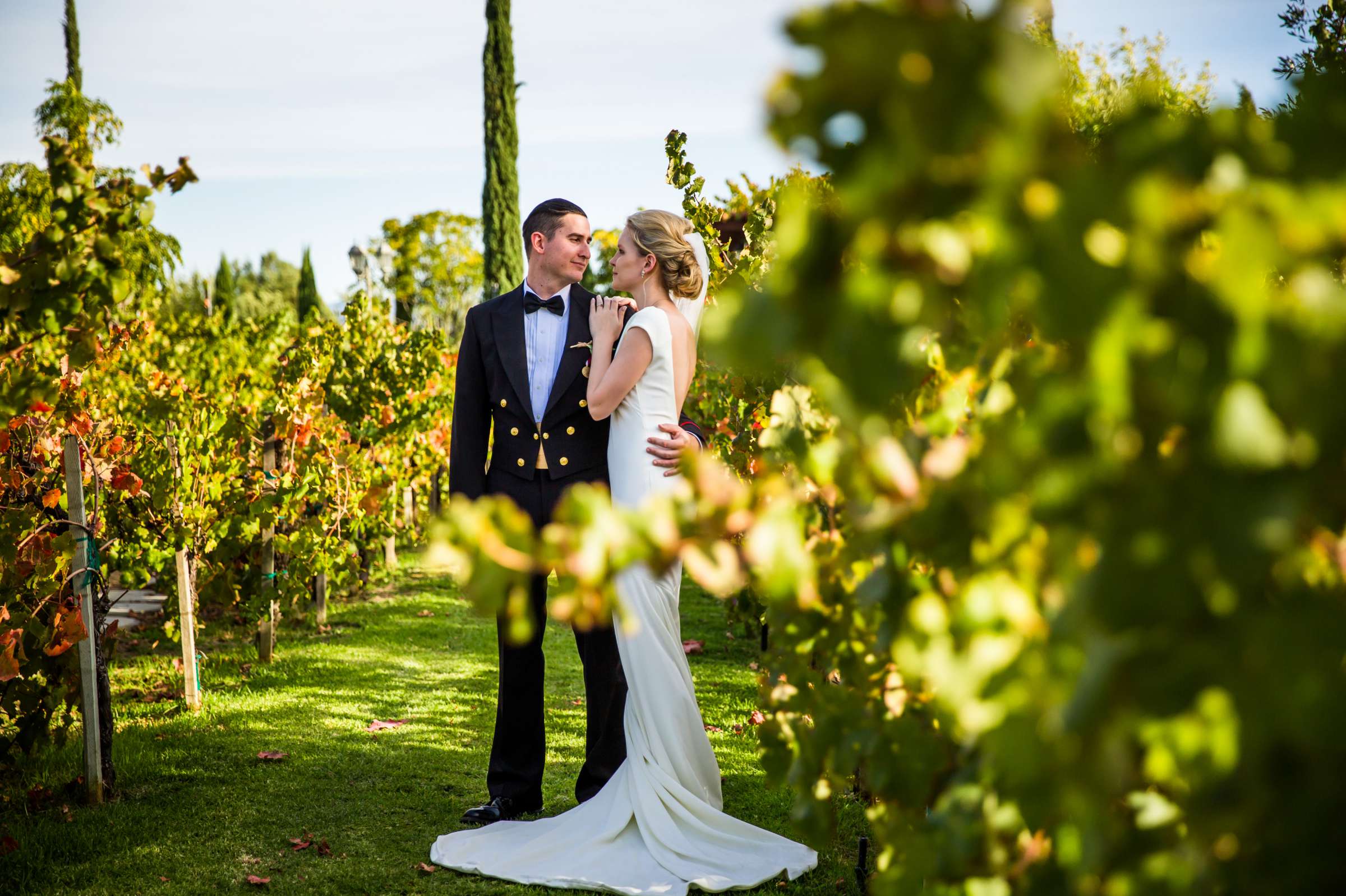 Mount Palomar Winery Wedding coordinated by Evelyn Francesca Events & Design, Shae and Colin Wedding Photo #16 by True Photography