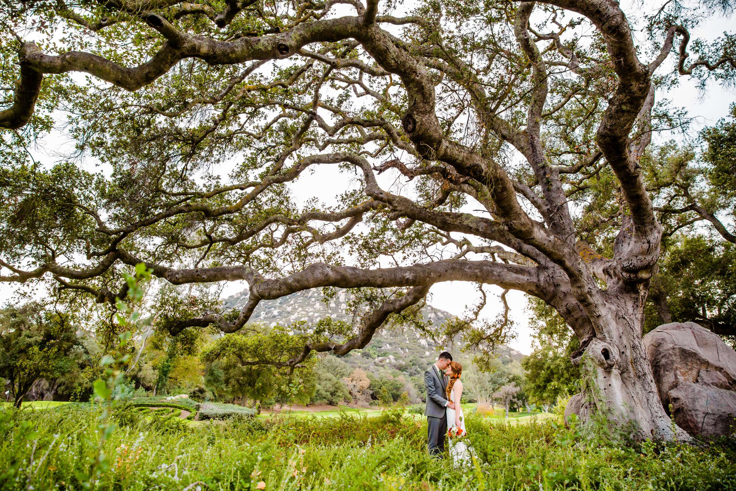 Mt Woodson Castle Wedding coordinated by Personal Touch Dining, Emily and Adam Wedding Photo #281135 by True Photography