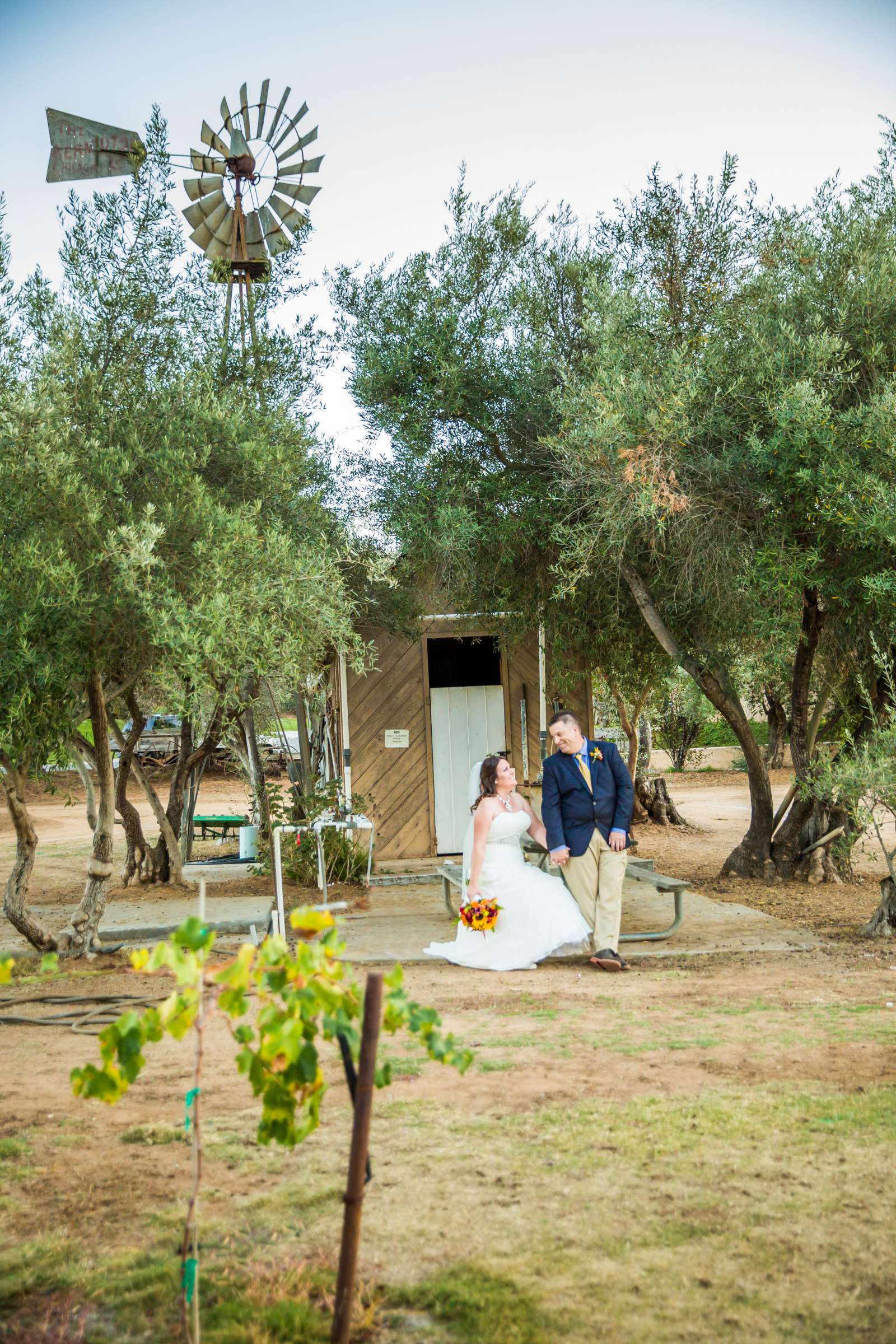 Bernardo Winery Wedding, Jennifer and Paul Wedding Photo #282468 by True Photography