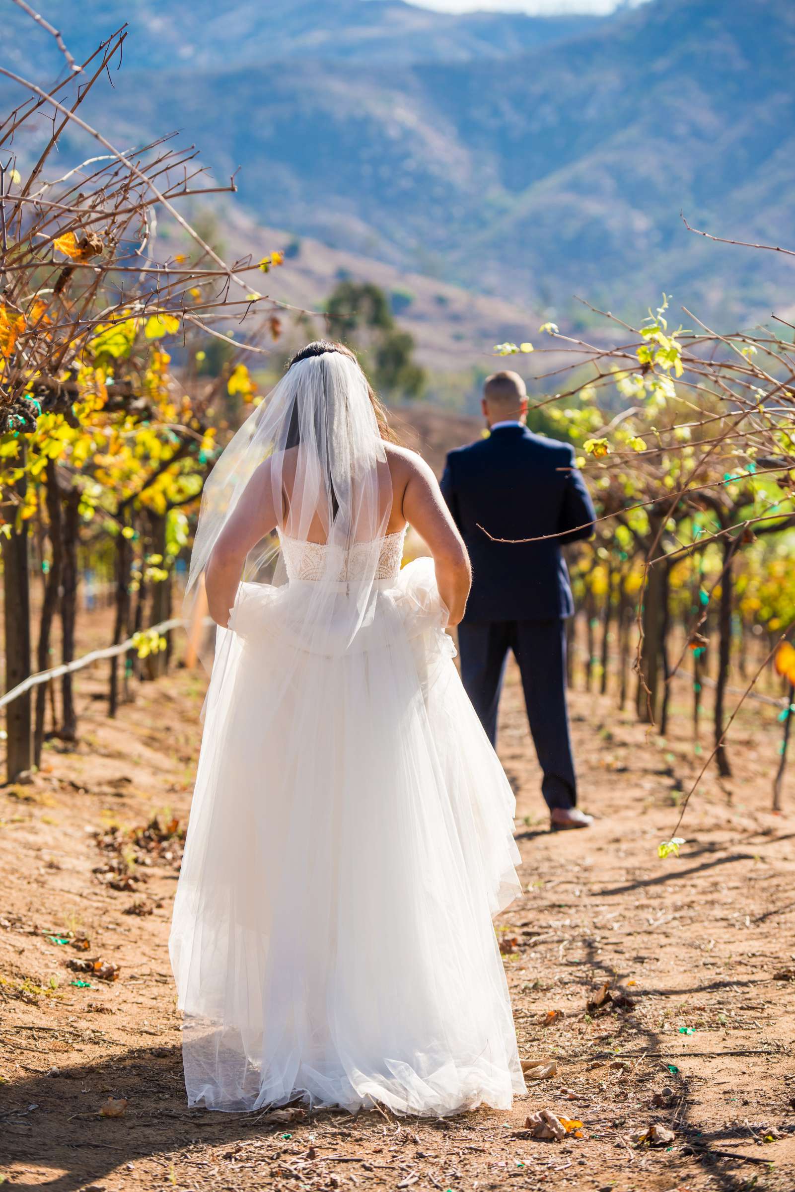 Orfila Vineyards Wedding, Holly and Andrew Wedding Photo #289569 by True Photography