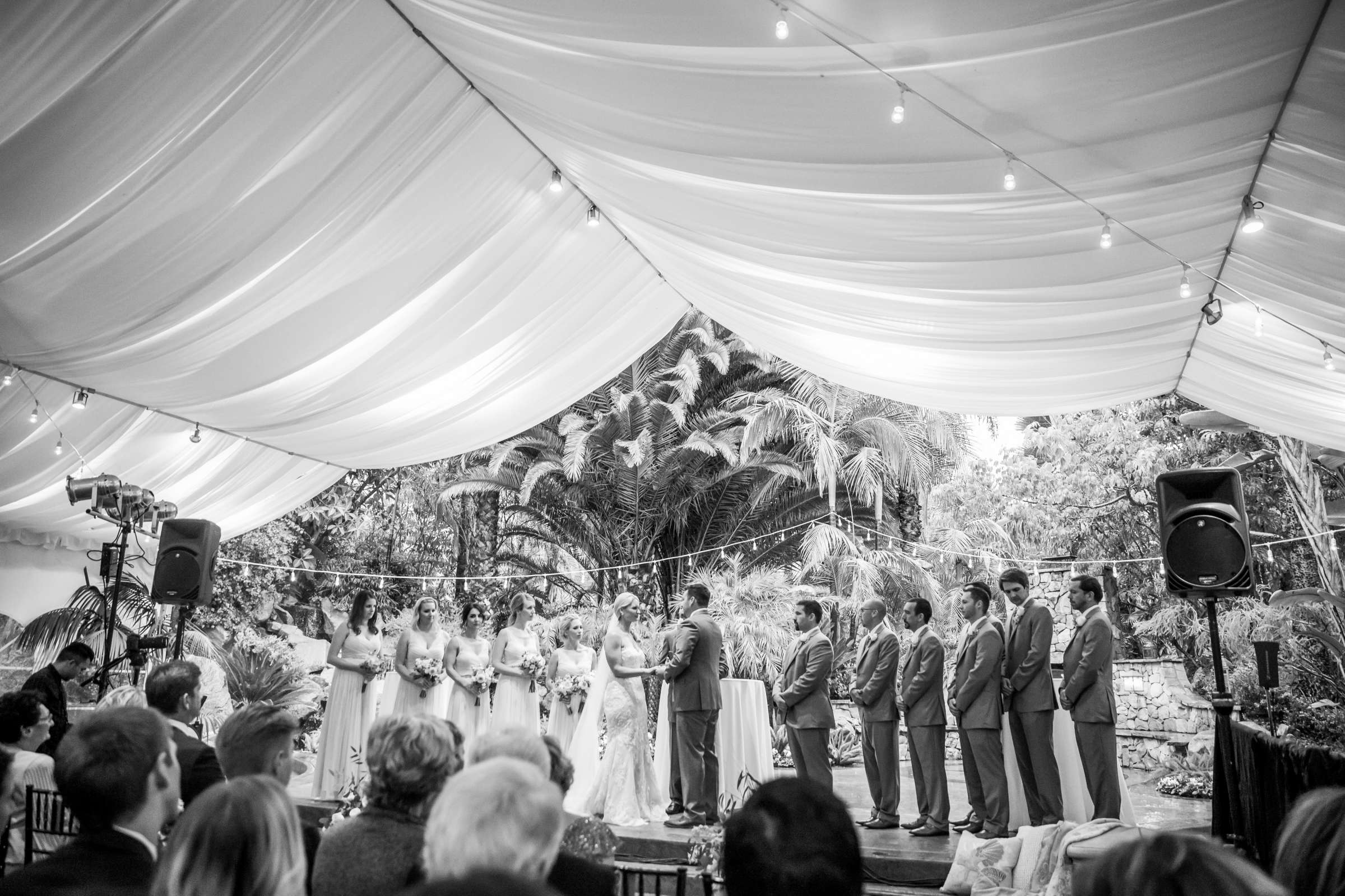 Grand Tradition Estate Wedding, Erika and Kyle Wedding Photo #292095 by True Photography