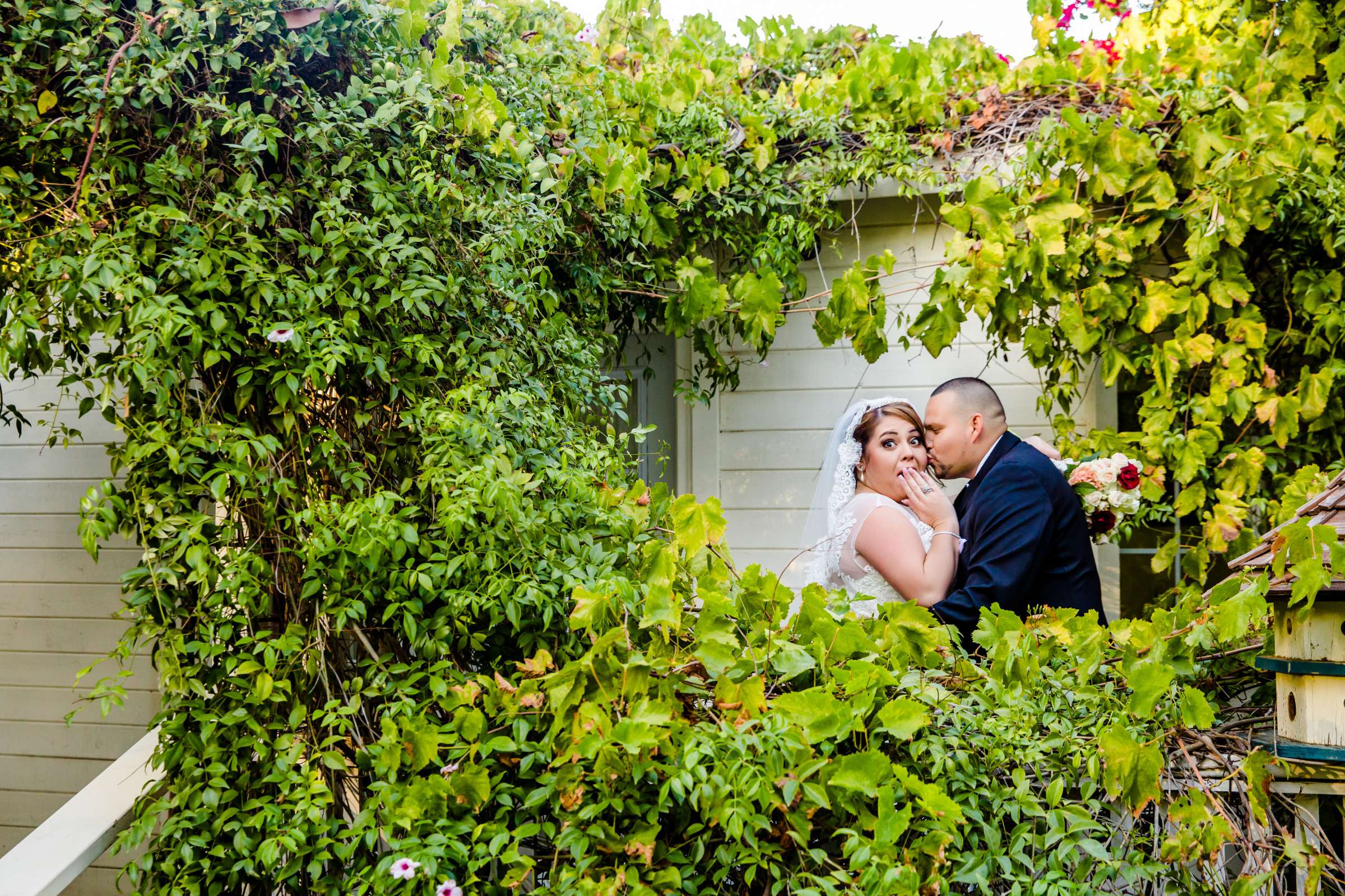 Twin Oaks House & Gardens Wedding Estate Wedding, Virginia and Steven Wedding Photo #294423 by True Photography