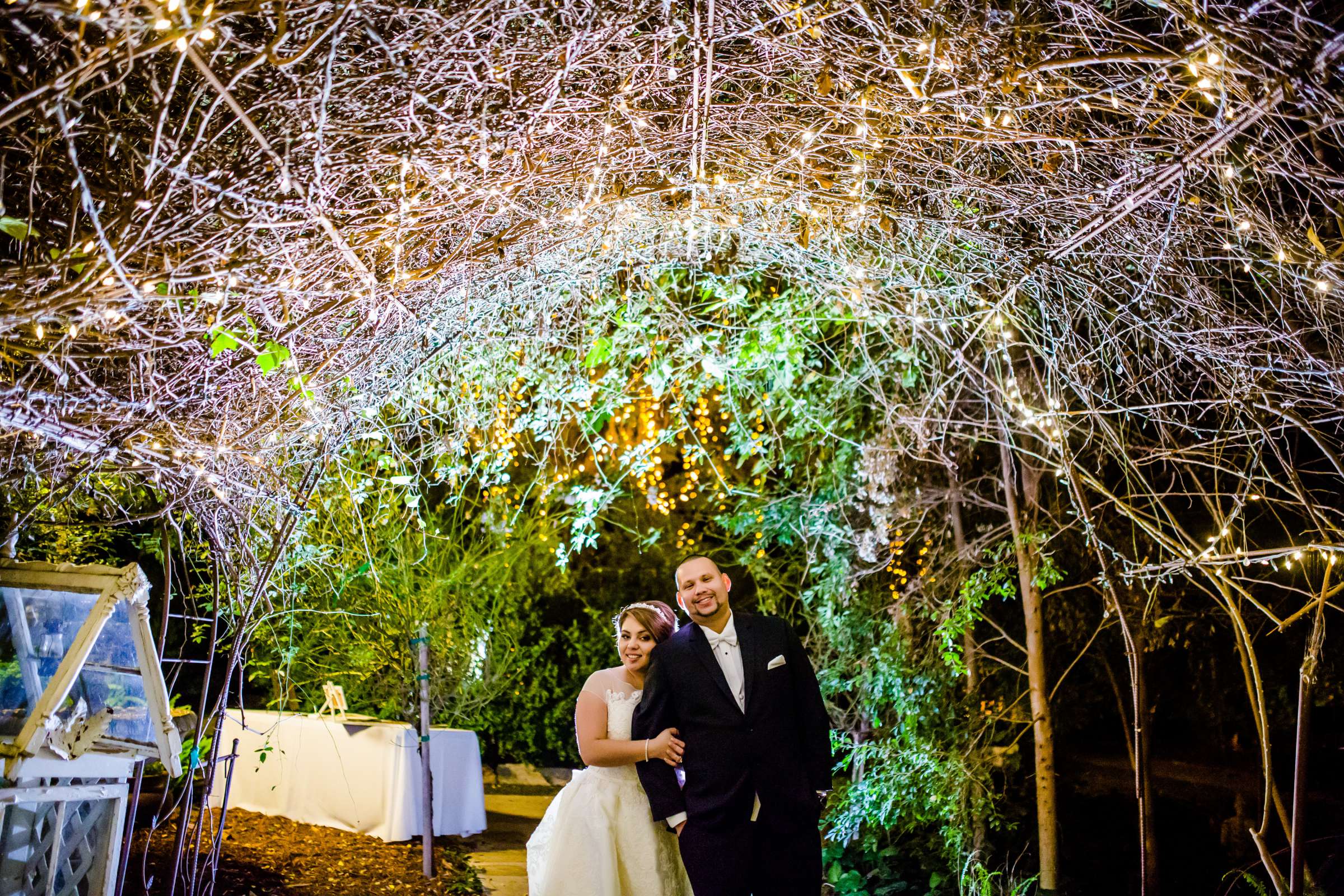 Twin Oaks House & Gardens Wedding Estate Wedding, Virginia and Steven Wedding Photo #294575 by True Photography