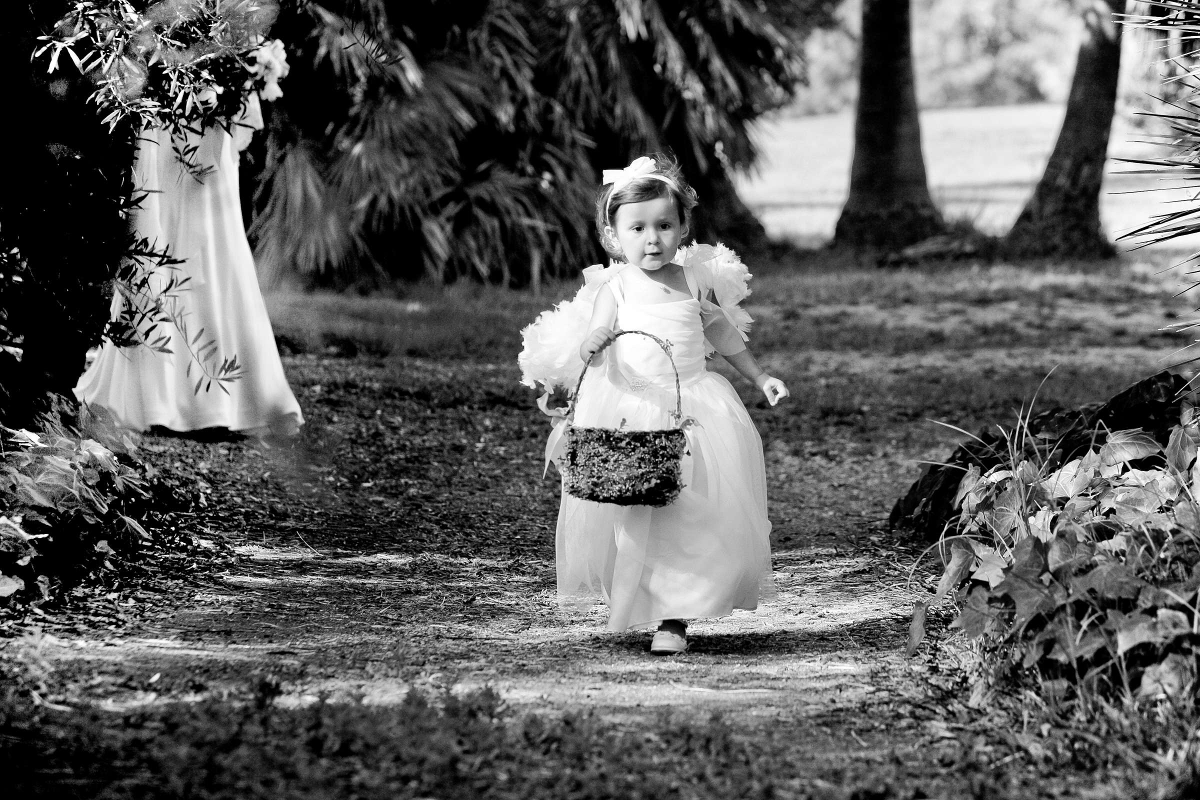 Wedding, Alanna and Jerry Wedding Photo #299462 by True Photography