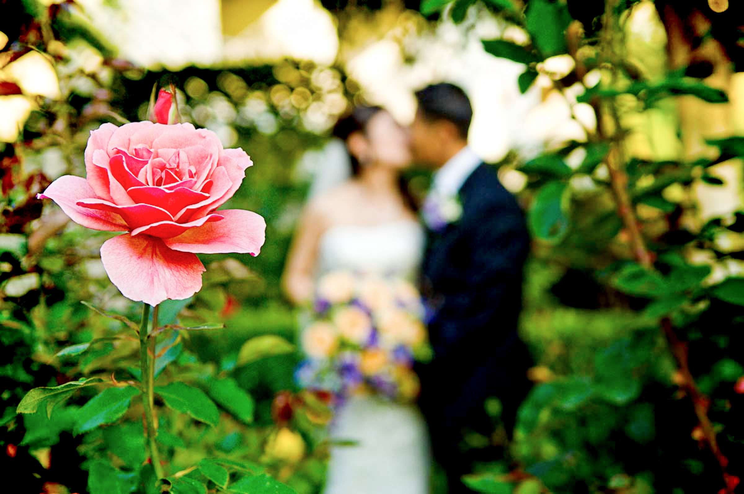 Park Hyatt Aviara Wedding, Sandra and Khoa Wedding Photo #299691 by True Photography