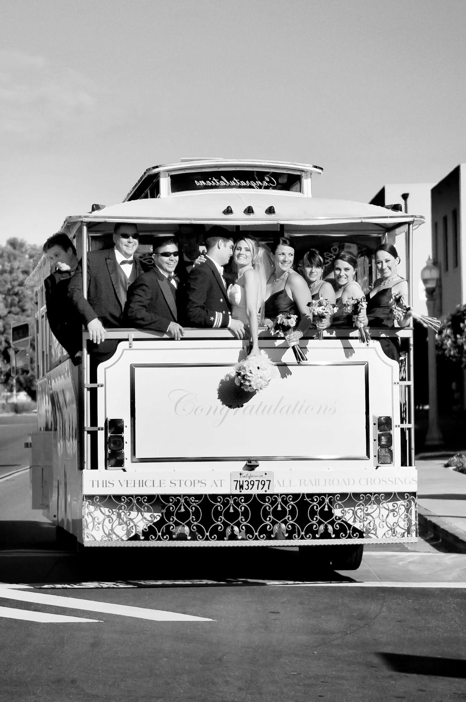 Wedding, Tanya and Matt Wedding Photo #300328 by True Photography