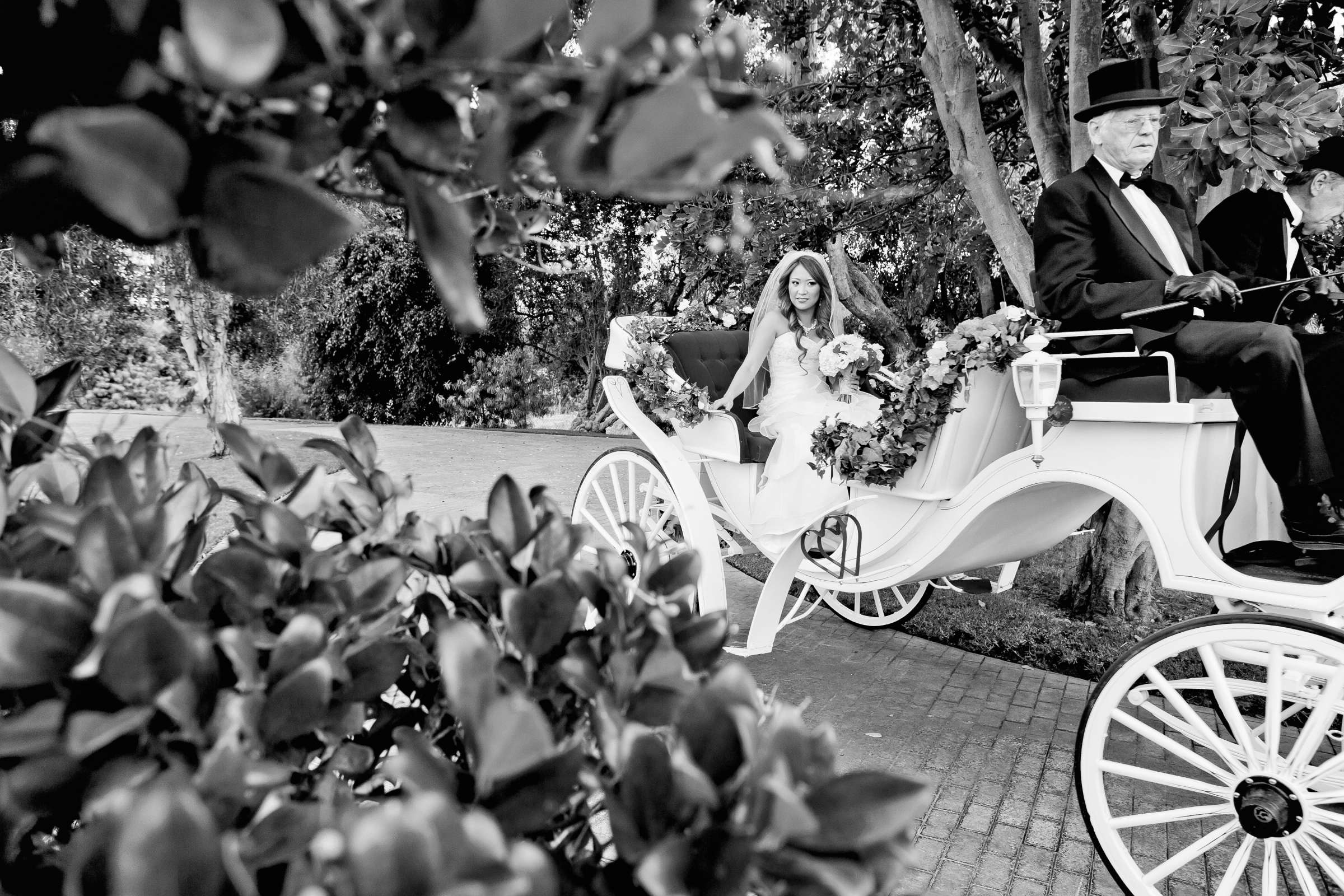 Grand Tradition Estate Wedding, Maggie and Thomas Wedding Photo #303458 by True Photography