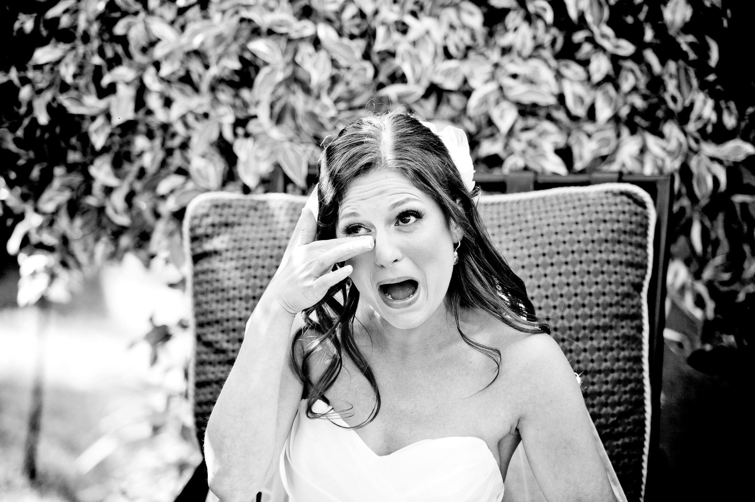 Private Residence Wedding, Jamie and Jared Wedding Photo #304377 by True Photography