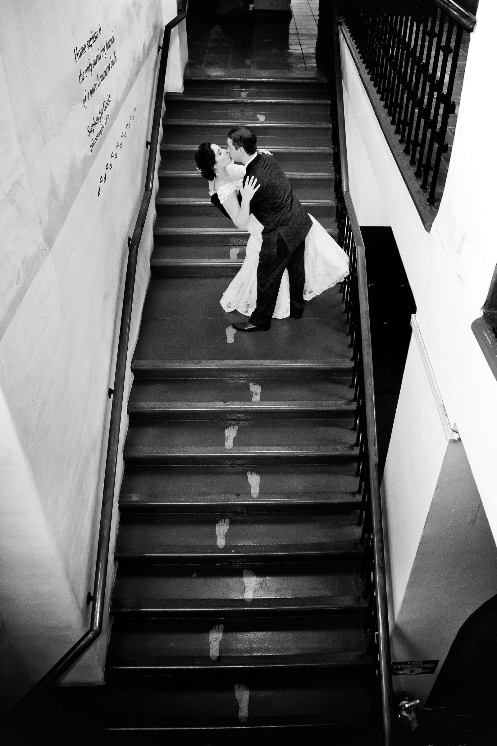 Wedding, Viviana and Michael Wedding Photo #304620 by True Photography