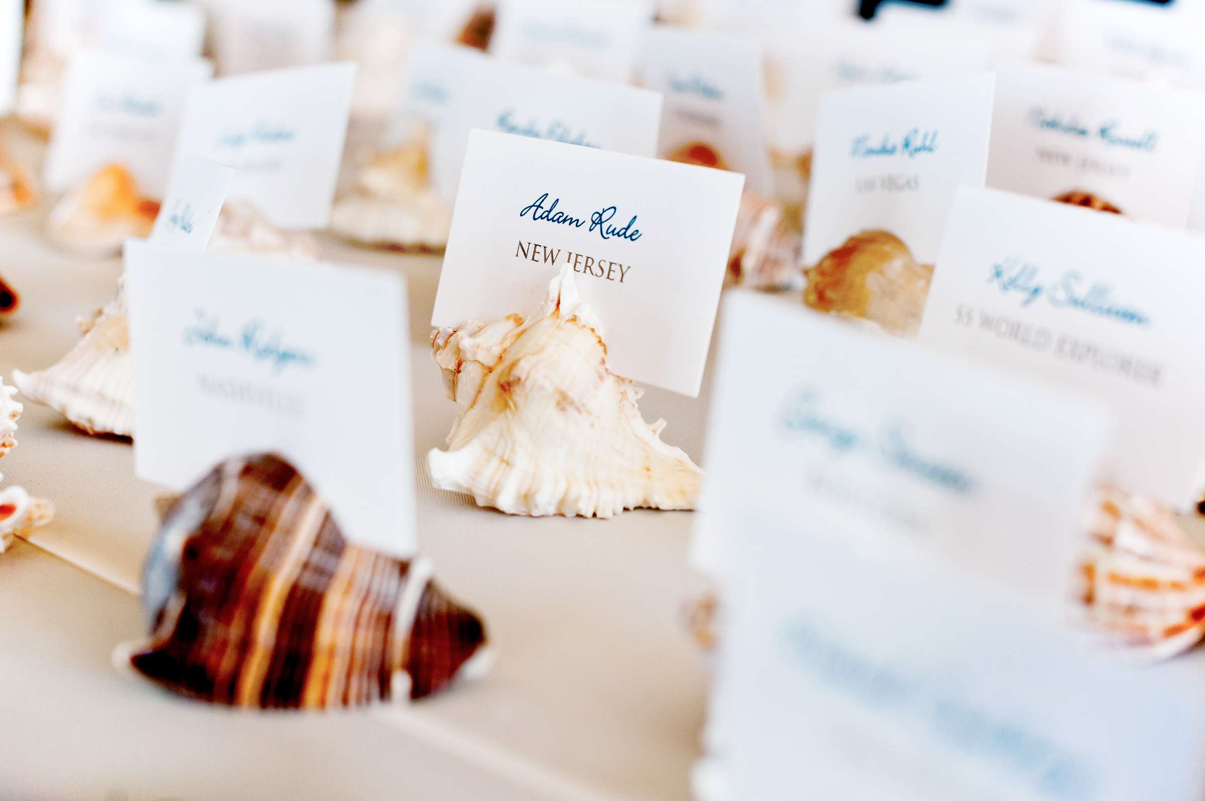 Scripps Seaside Forum Wedding coordinated by Bliss Events, Jeanine and Brett Wedding Photo #305299 by True Photography