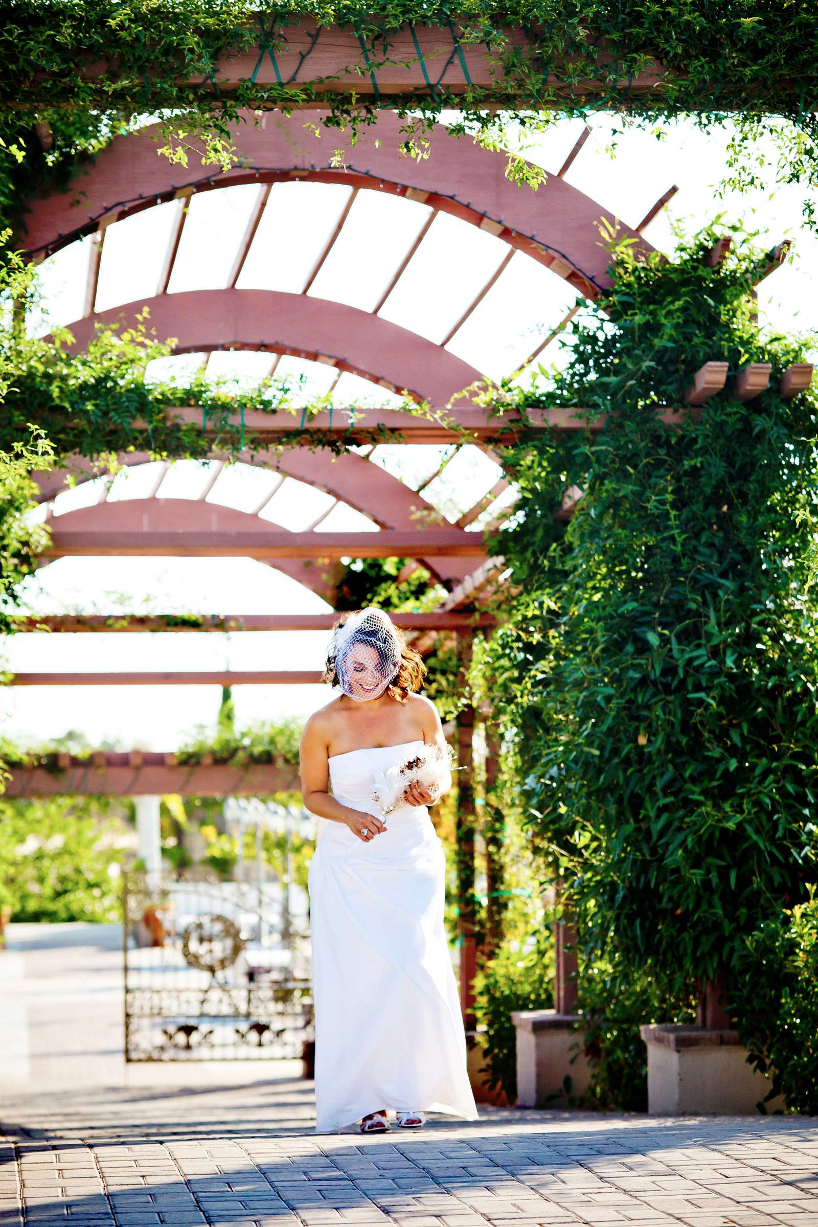 Mount Palomar Winery Wedding, Vivianne and Glenn Wedding Photo #307018 by True Photography