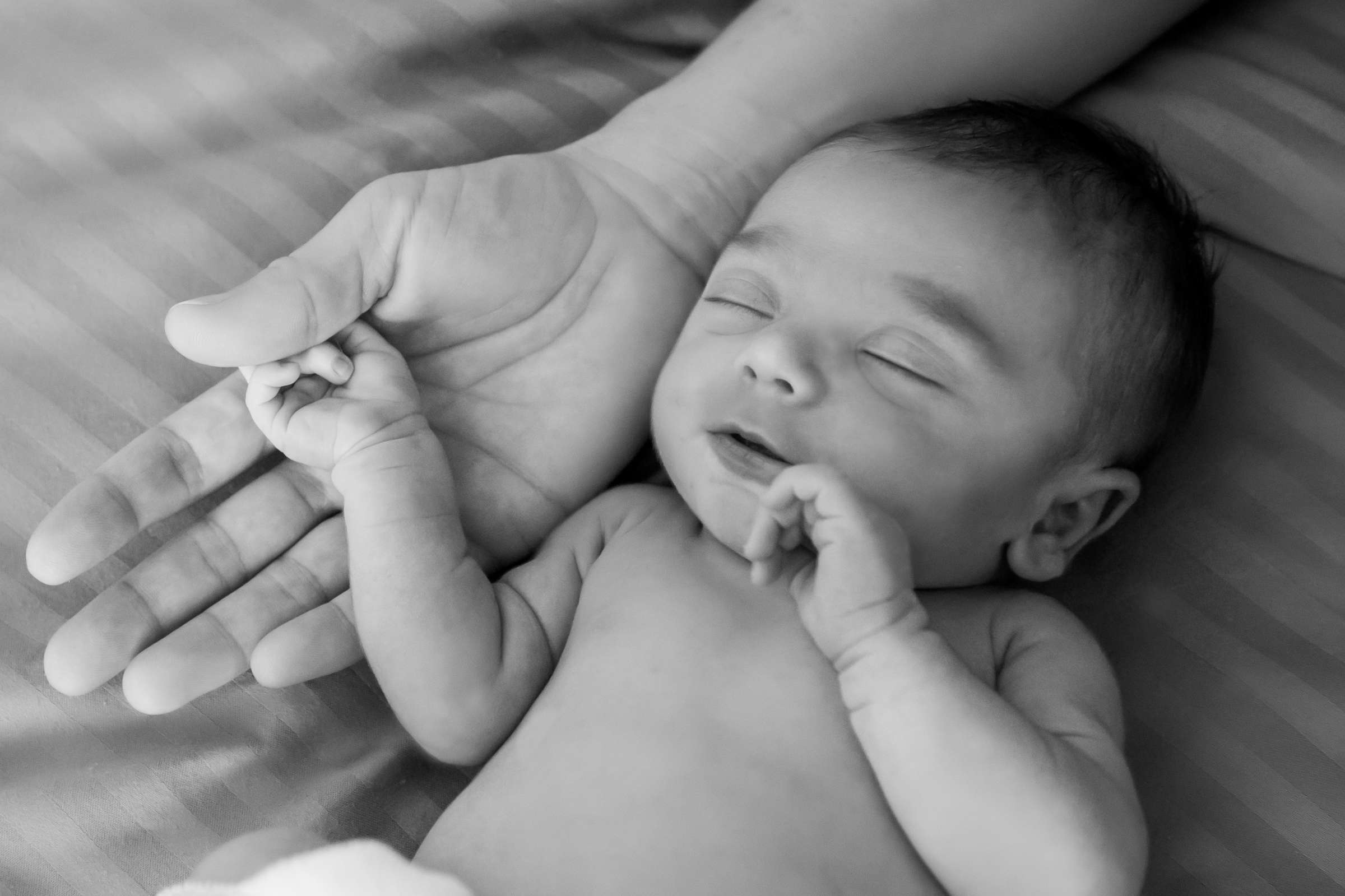 Newborn Photo Session, Shosh and Brian Newborn Photo #8 by True Photography