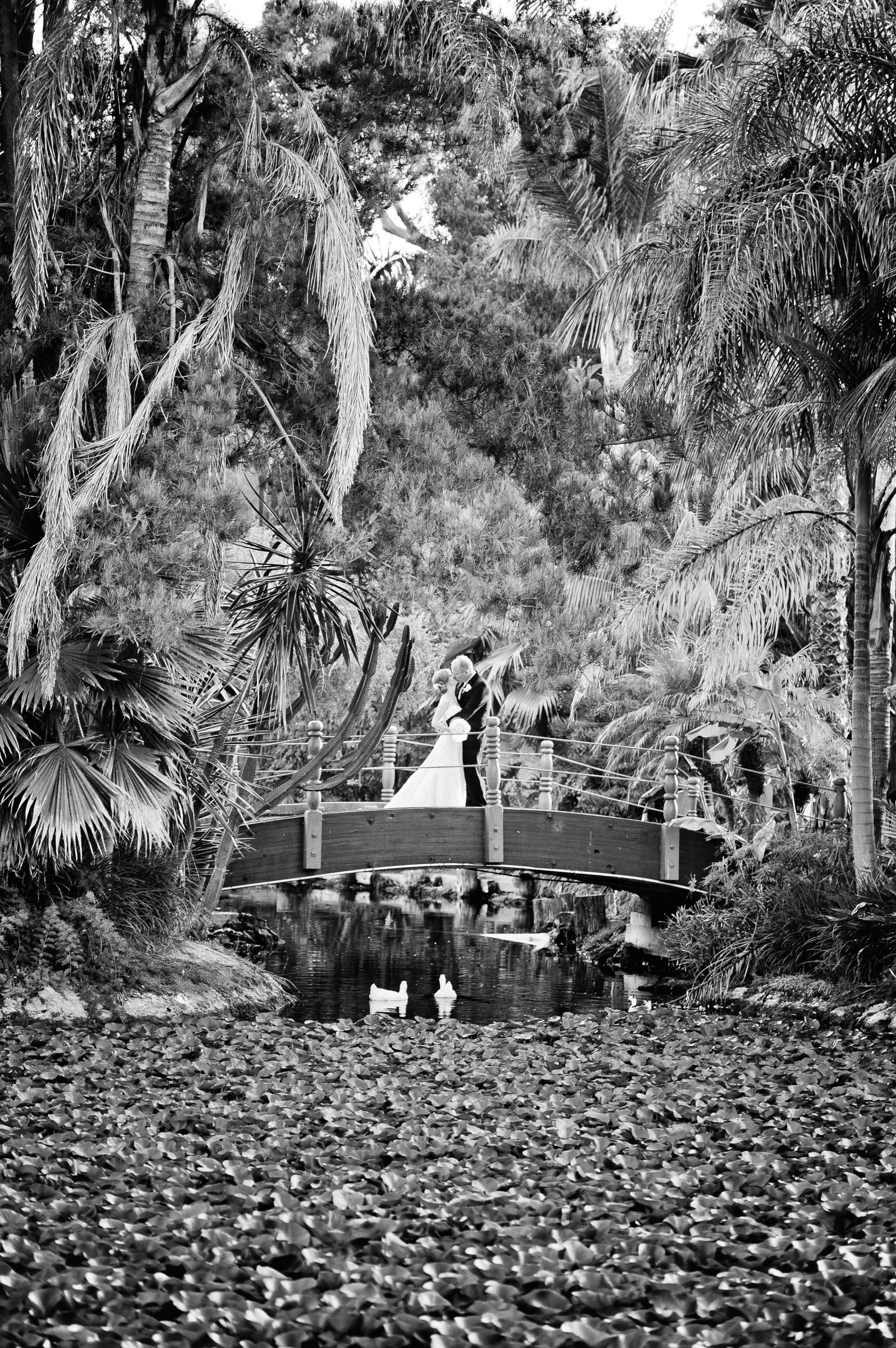 Paradise Point Wedding coordinated by Events by Jamie, Jennifer and Chris Wedding Photo #307748 by True Photography
