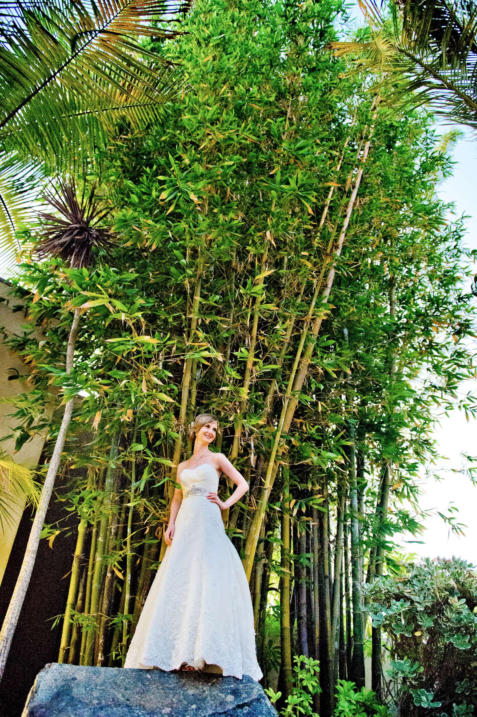 Paradise Point Wedding coordinated by Events by Jamie, Jennifer and Chris Wedding Photo #307824 by True Photography