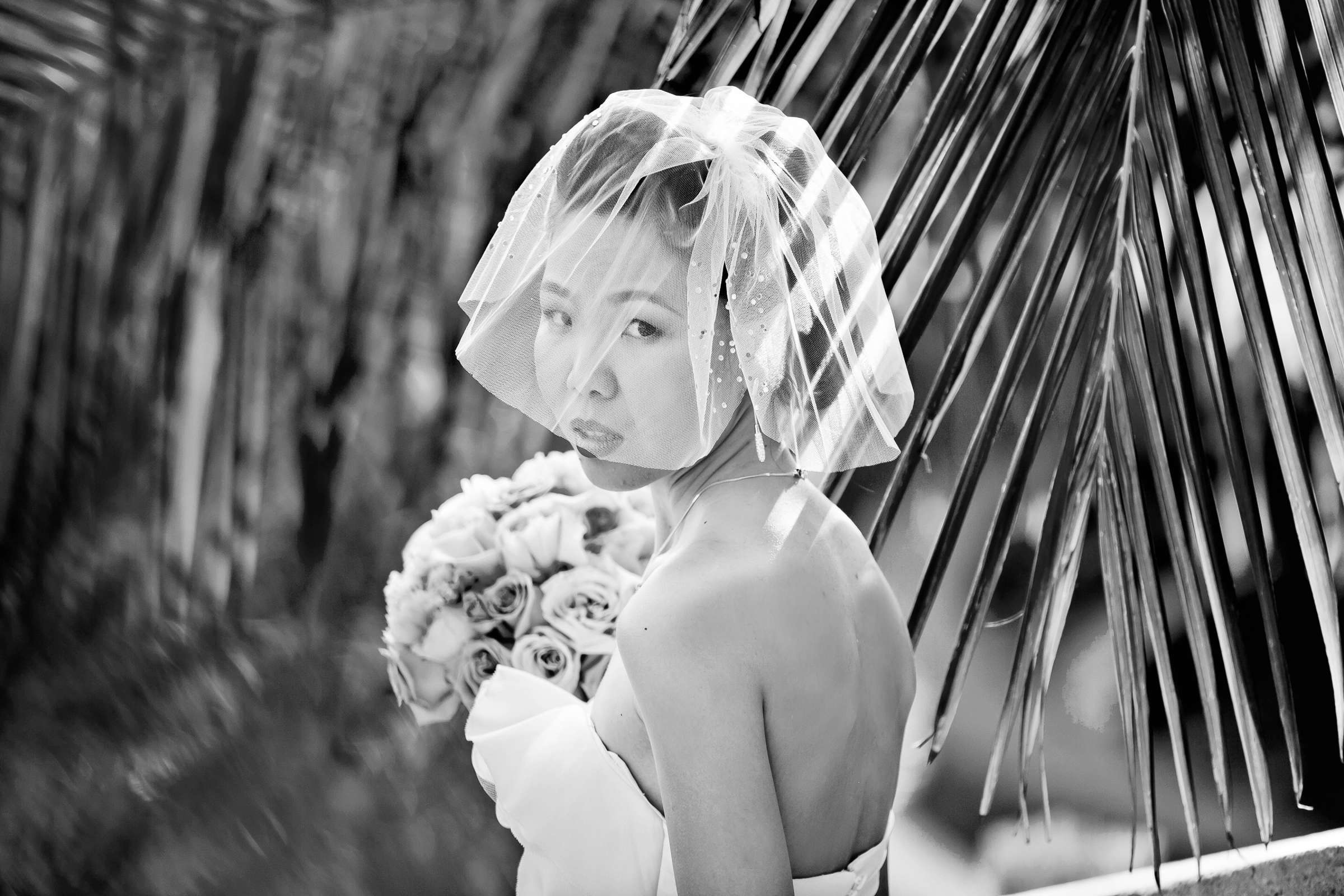 Fairmont Grand Del Mar Wedding, Beibei and Hauzhou Wedding Photo #308509 by True Photography
