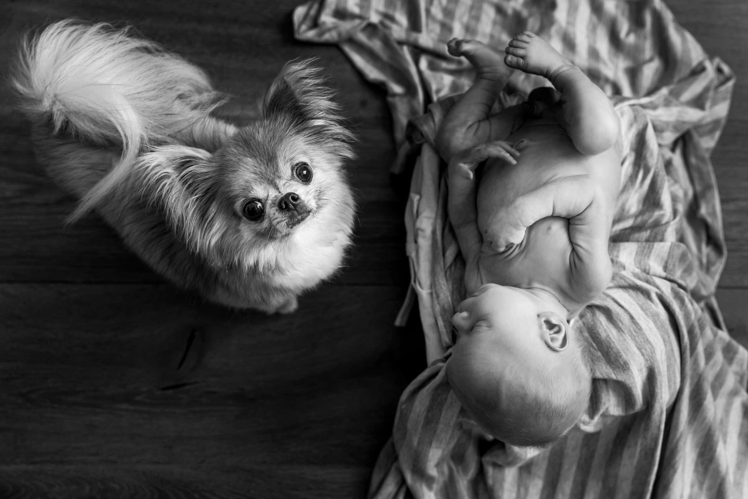 Newborn Photo Session, Ashley and Tyler Newborn Photo #4 by True Photography