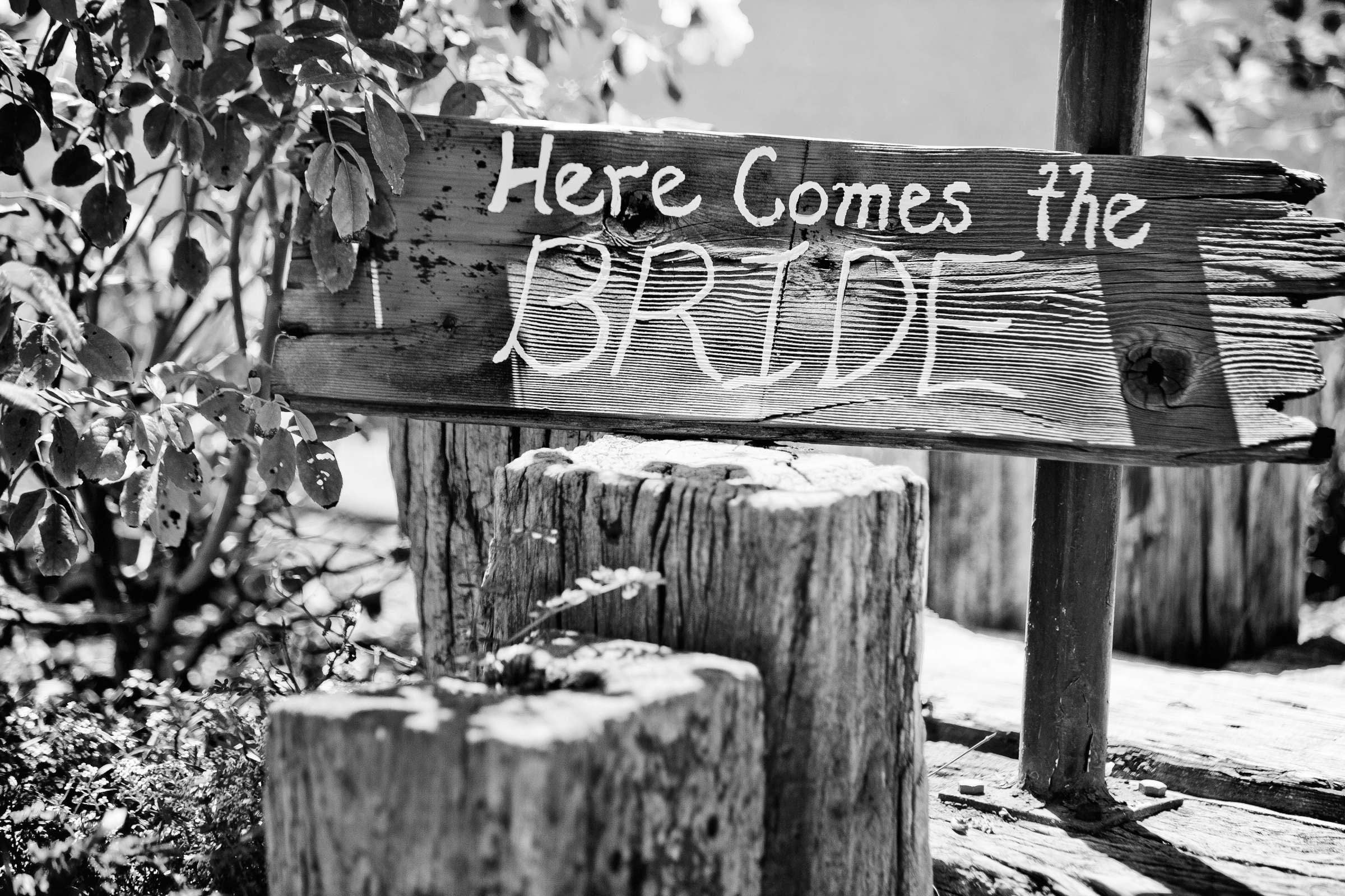 Green Gables Wedding Estate Wedding, Kara and Brad Wedding Photo #309841 by True Photography