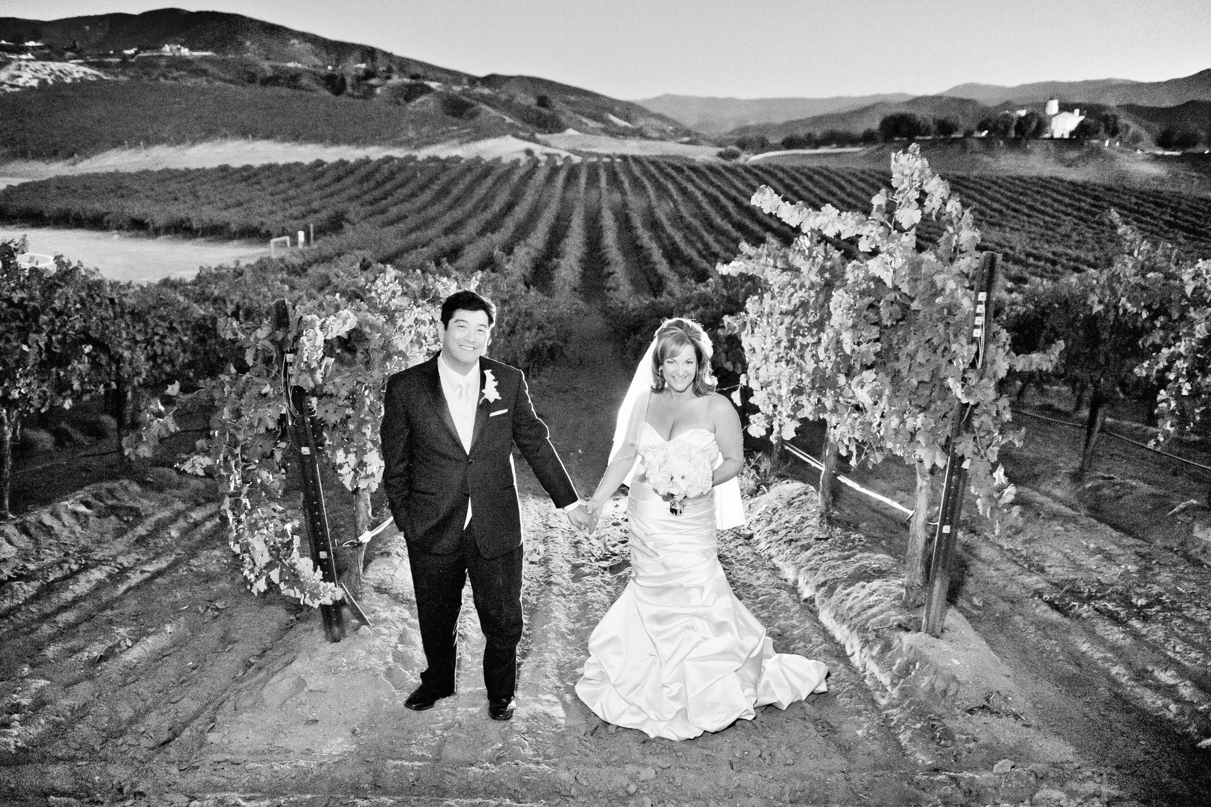 Leoness Cellars Wedding coordinated by Weddings by Design, Coletta and Matthew Wedding Photo #310536 by True Photography