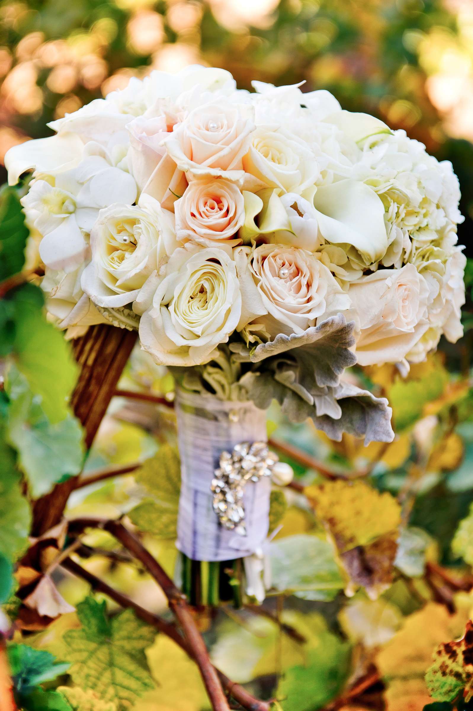 Leoness Cellars Wedding coordinated by Weddings by Design, Coletta and Matthew Wedding Photo #310552 by True Photography