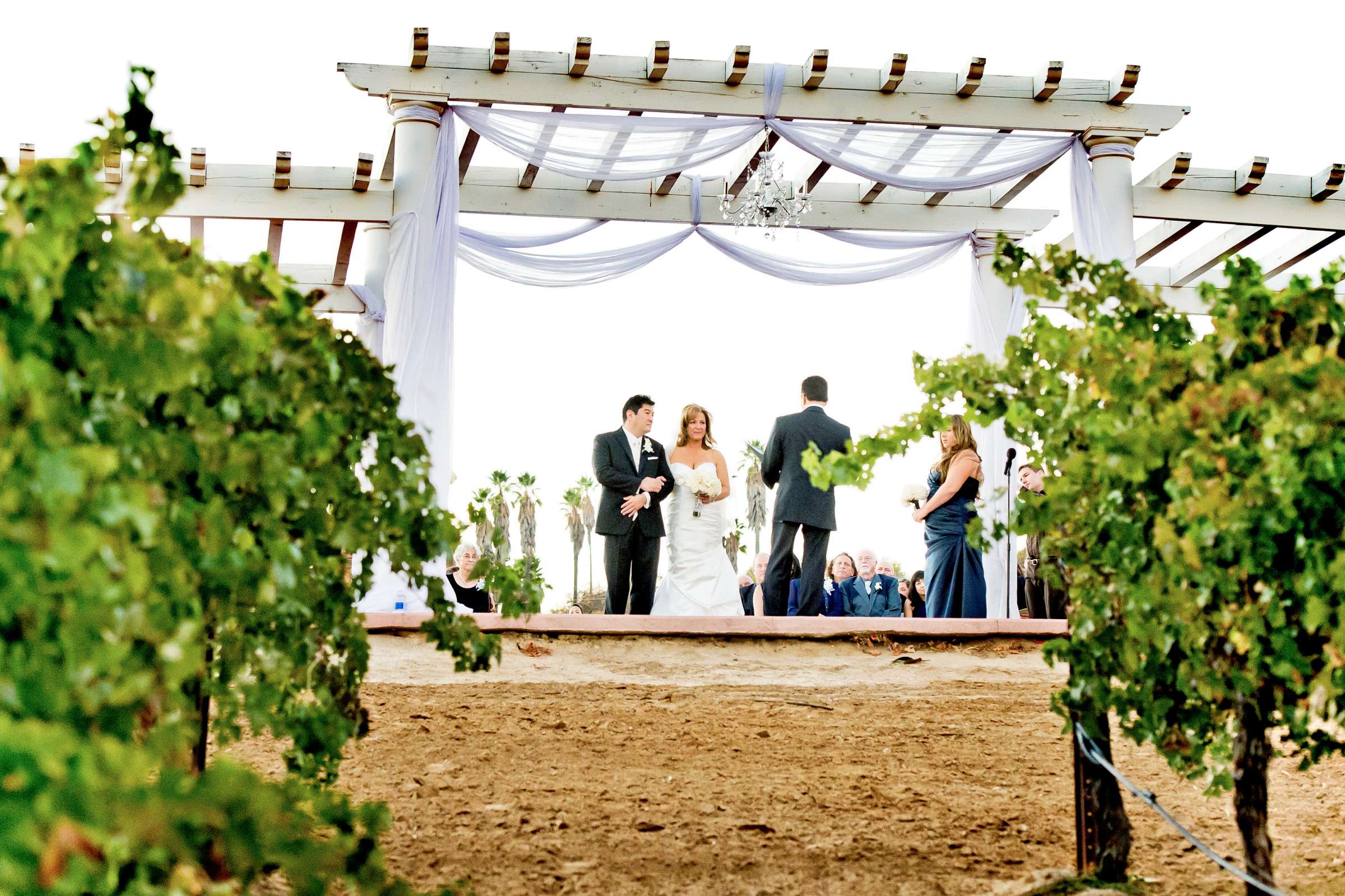 Leoness Cellars Wedding coordinated by Weddings by Design, Coletta and Matthew Wedding Photo #310582 by True Photography