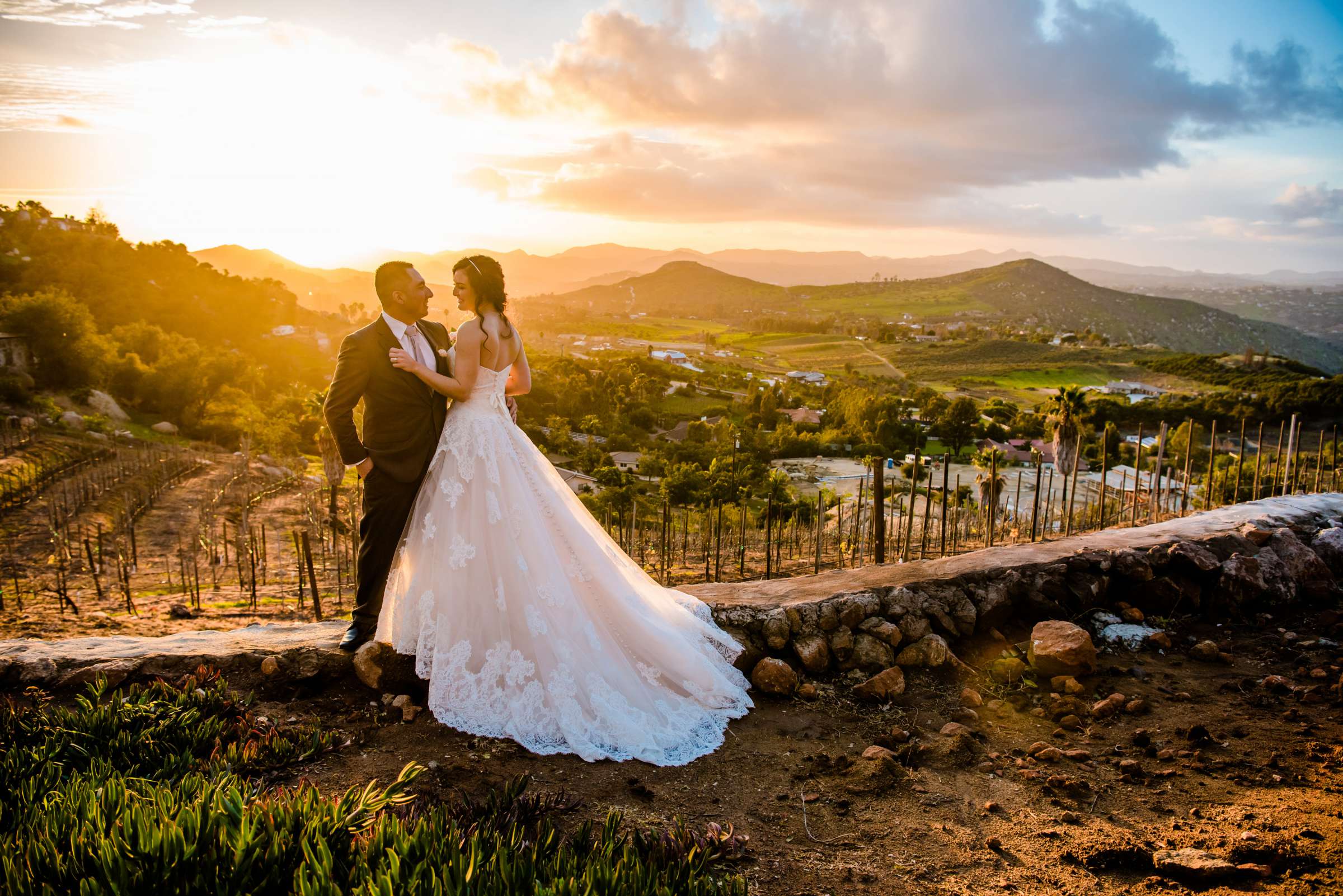 Sunset at Cordiano Winery Wedding coordinated by Sisti & Co, Tara and Daniel Wedding Photo #310995 by True Photography
