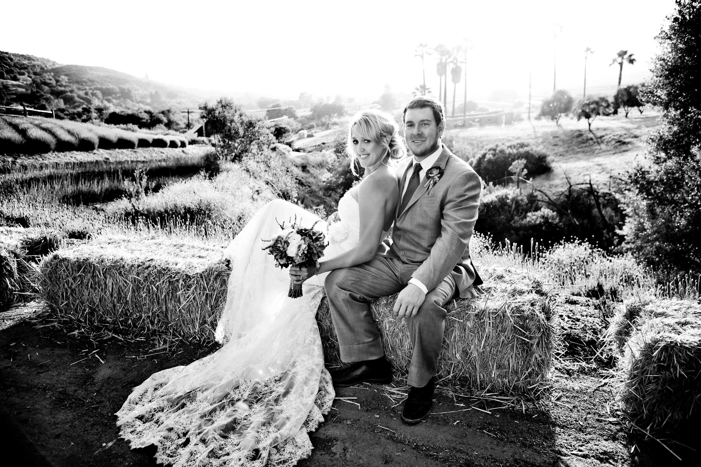 Keys Creek Lavender Farms Wedding coordinated by A Diamond Celebration, Ashley and James Wedding Photo #312811 by True Photography