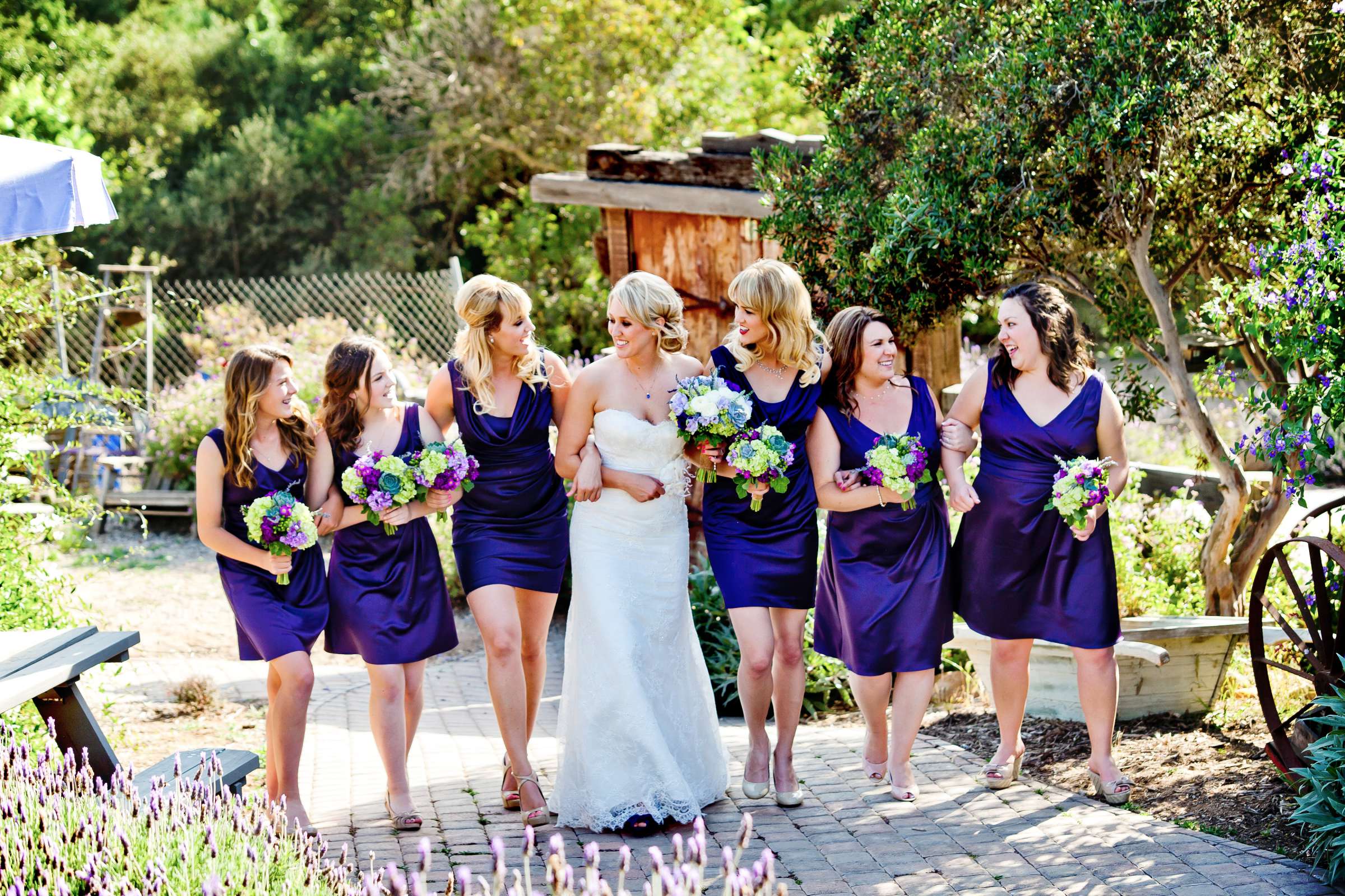 Keys Creek Lavender Farms Wedding coordinated by A Diamond Celebration, Ashley and James Wedding Photo #312846 by True Photography