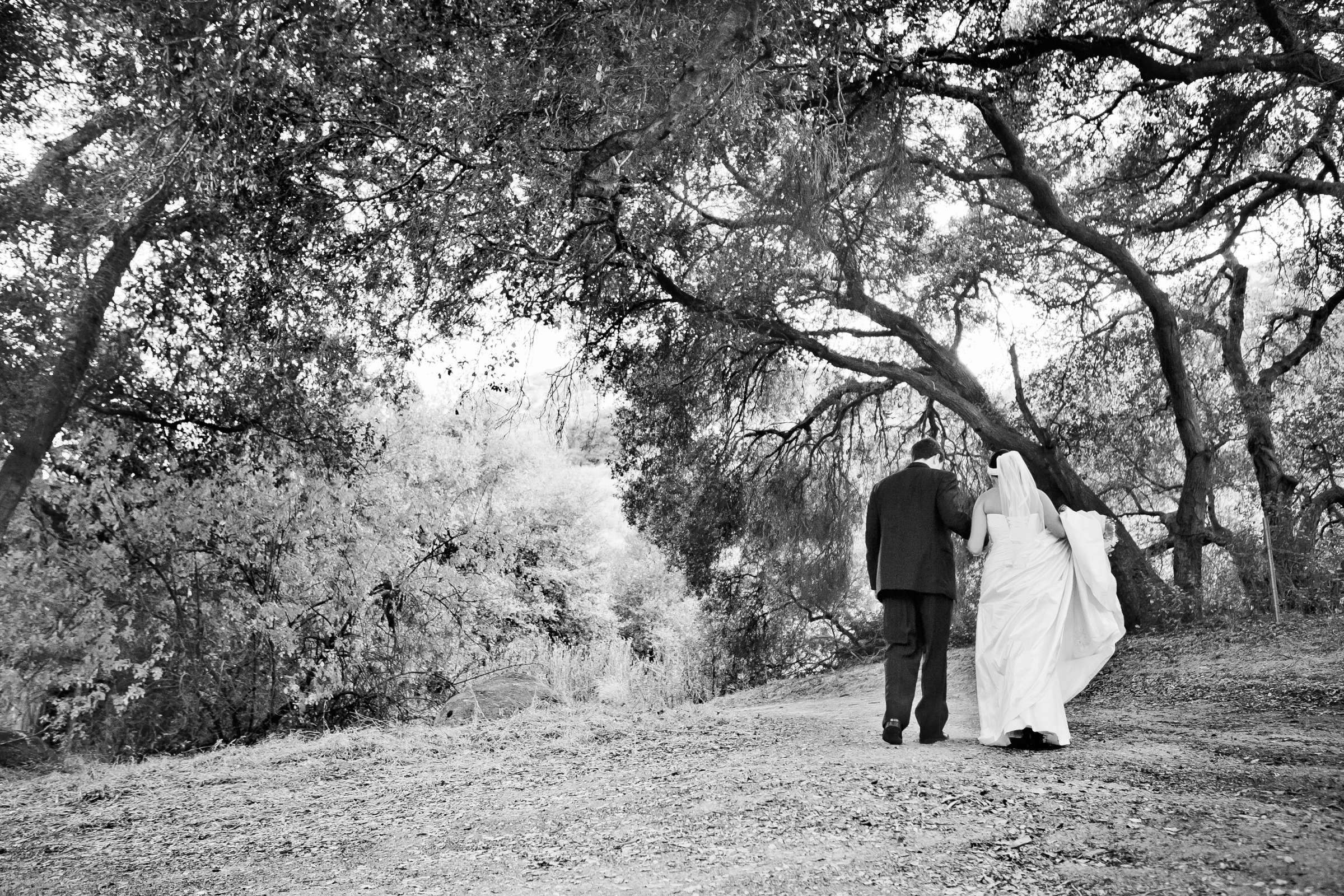 Wedding, Katie and Brian Wedding Photo #315541 by True Photography