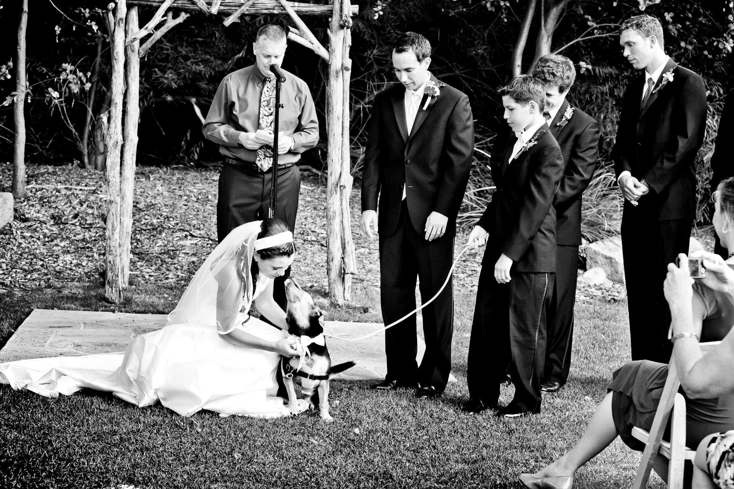 Wedding, Katie and Brian Wedding Photo #315565 by True Photography