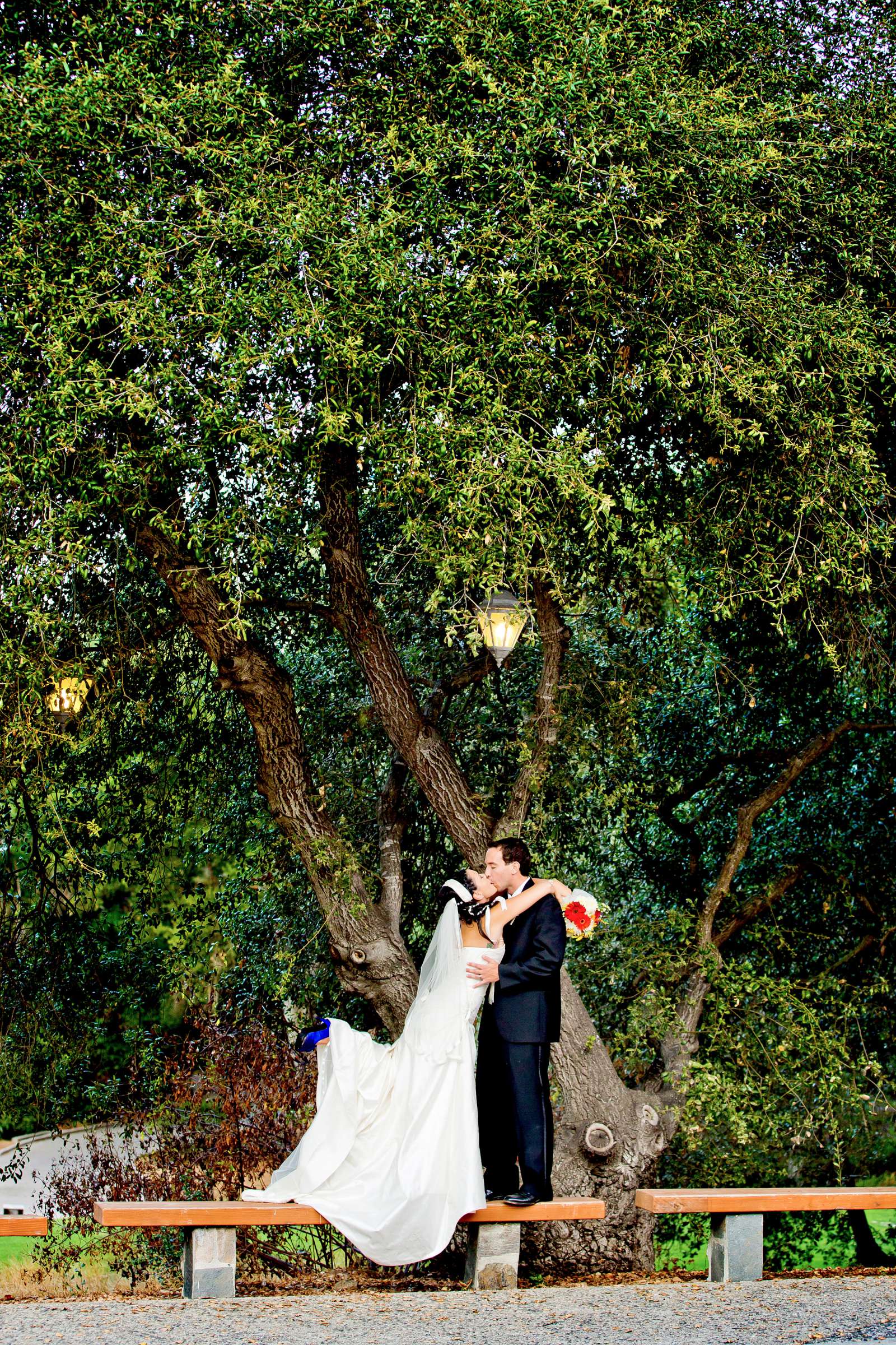 Wedding, Katie and Brian Wedding Photo #315585 by True Photography