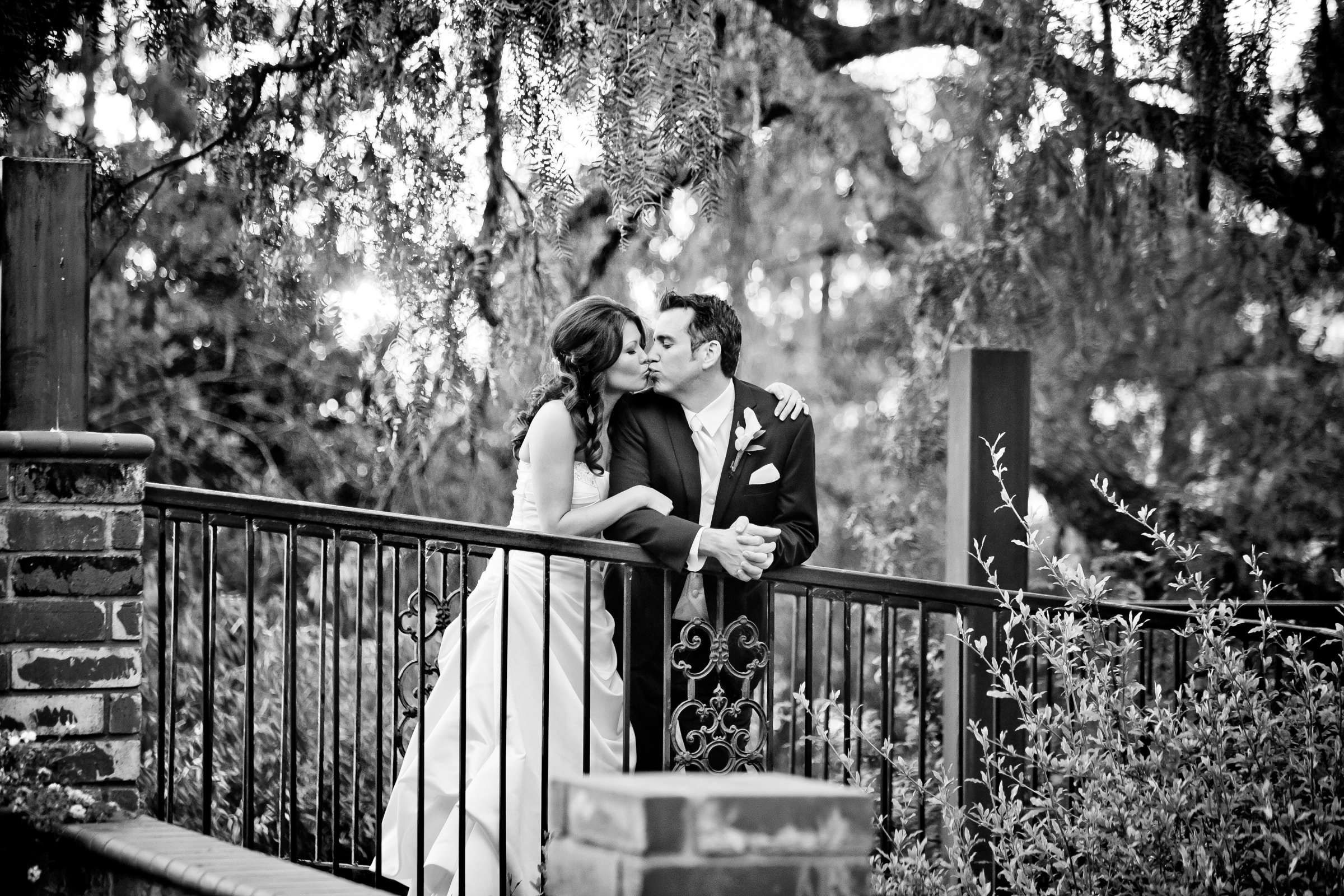 Wedding, Suzie and Daniel Wedding Photo #317099 by True Photography