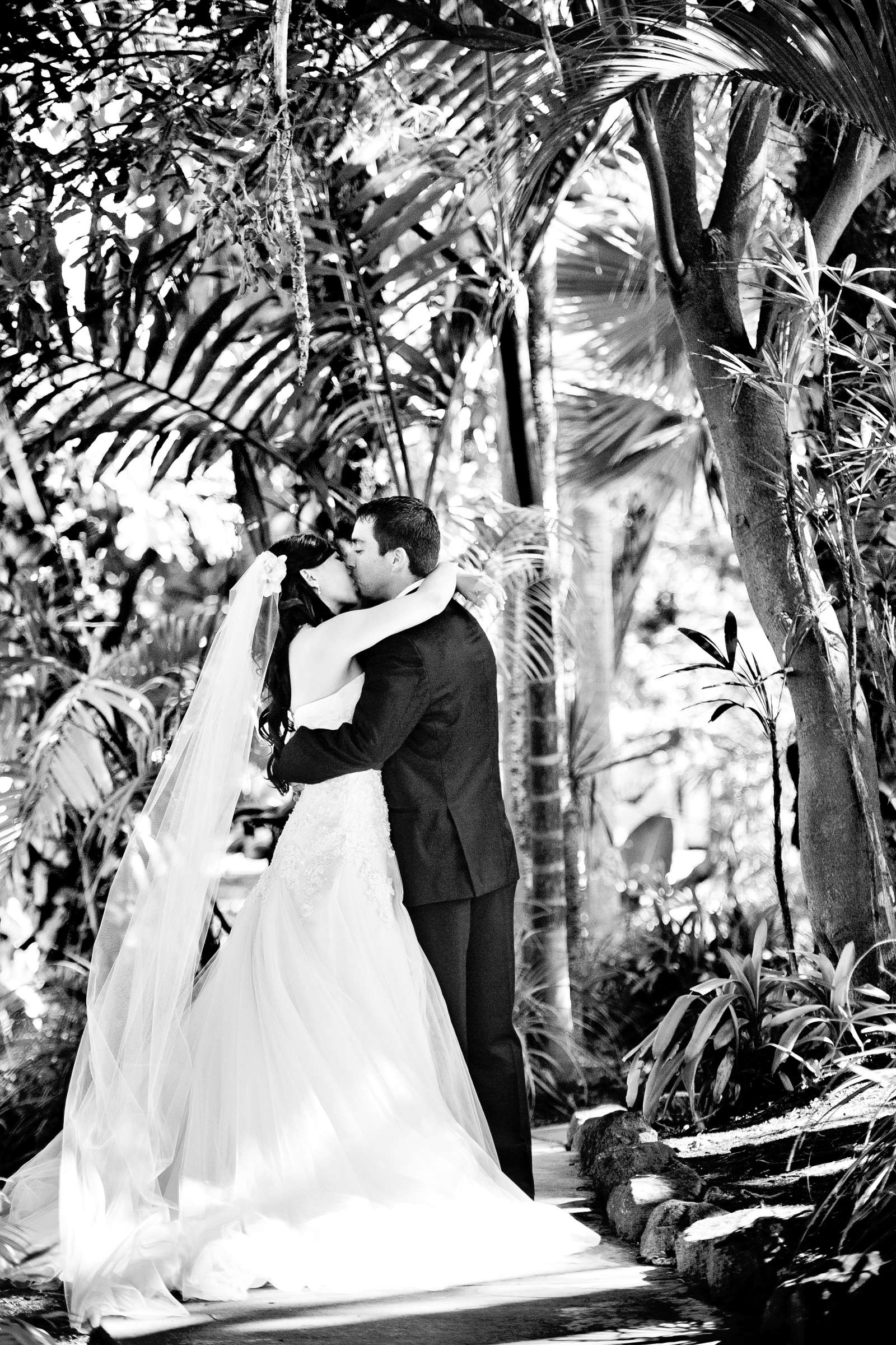 Wedding, Jennifer and Chris Wedding Photo #317936 by True Photography