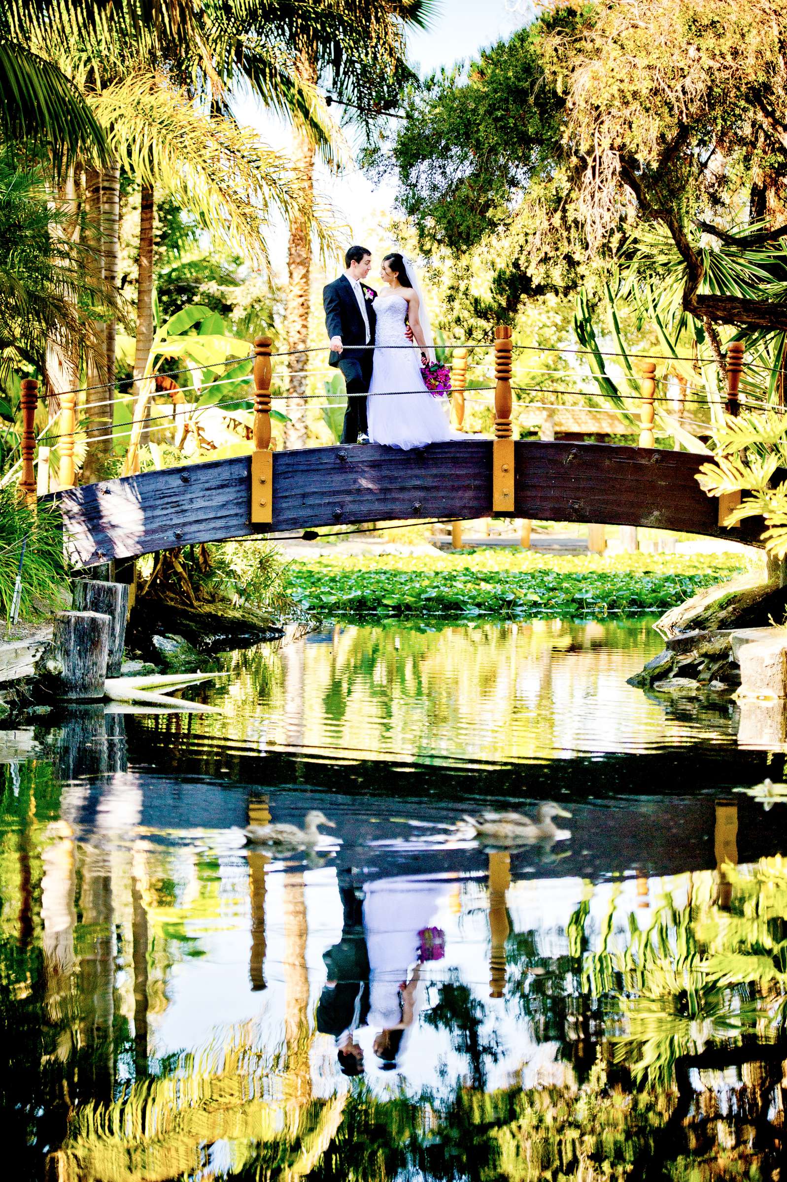 Wedding, Jennifer and Chris Wedding Photo #317947 by True Photography