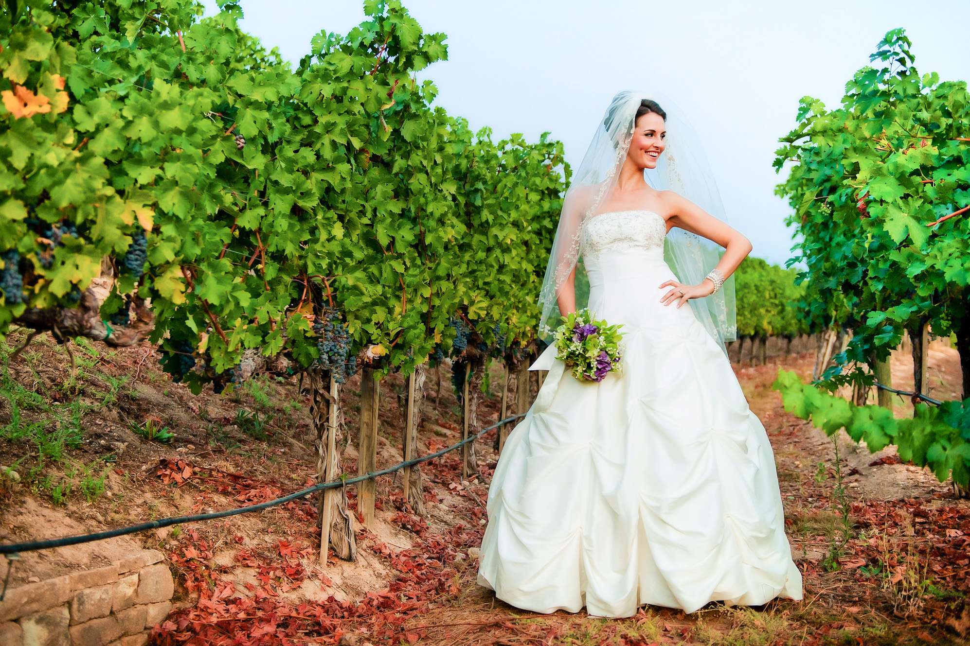 Merryvale Wedding coordinated by Napa Valley Celebrations, Janie and David Wedding Photo #318599 by True Photography