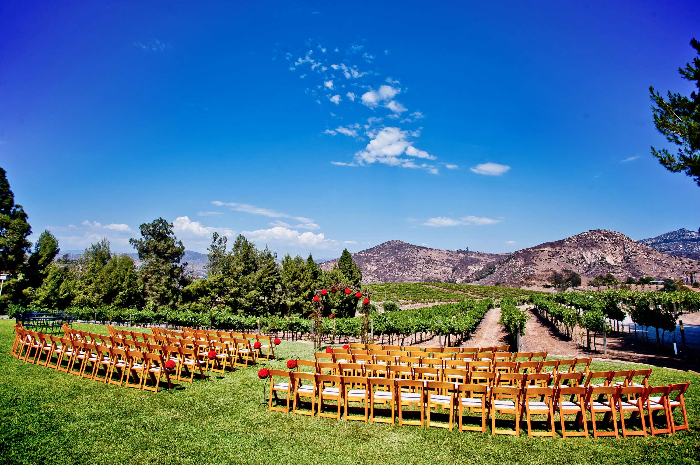 Orfila Vineyards Wedding coordinated by I Do Weddings, Apple and Ben Wedding Photo #5 by True Photography