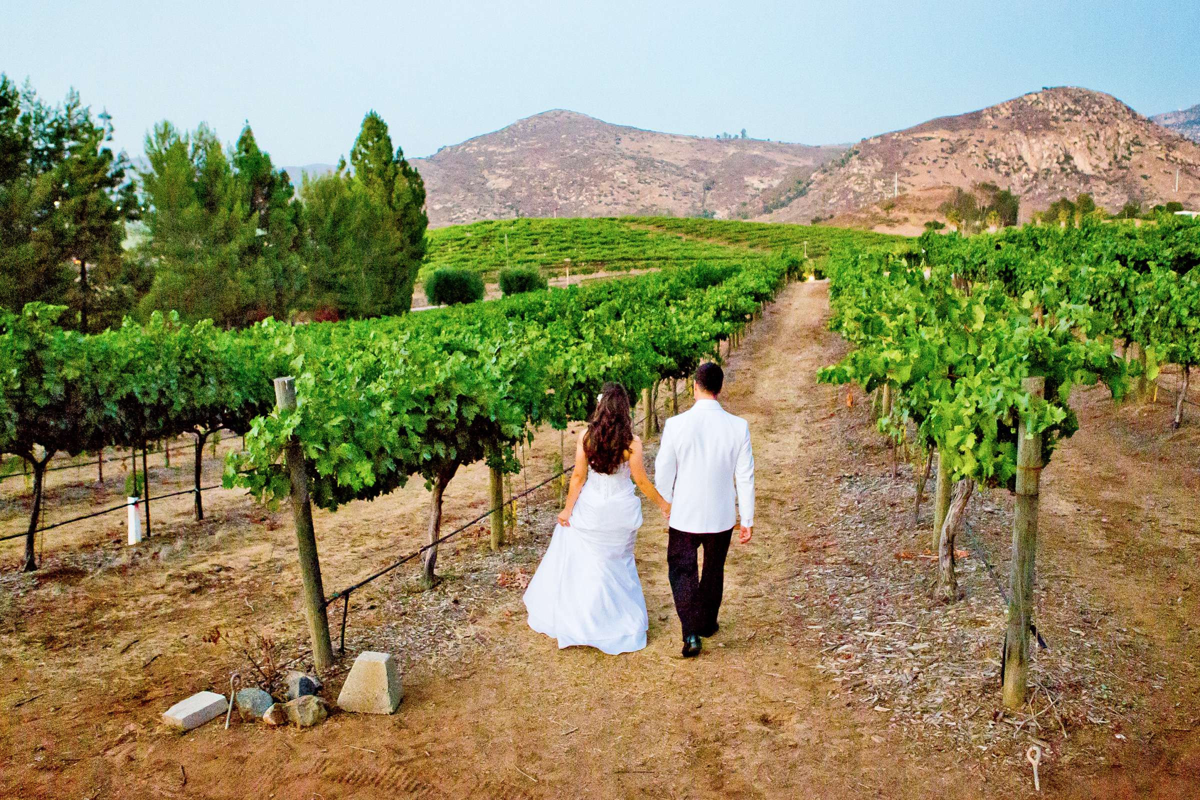 Orfila Vineyards Wedding coordinated by I Do Weddings, Apple and Ben Wedding Photo #10 by True Photography