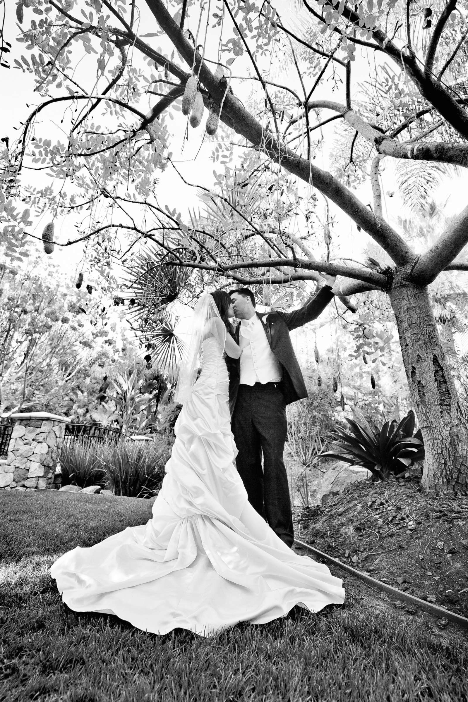 Grand Tradition Estate Wedding, Sharlene and Tony Wedding Photo #319459 by True Photography